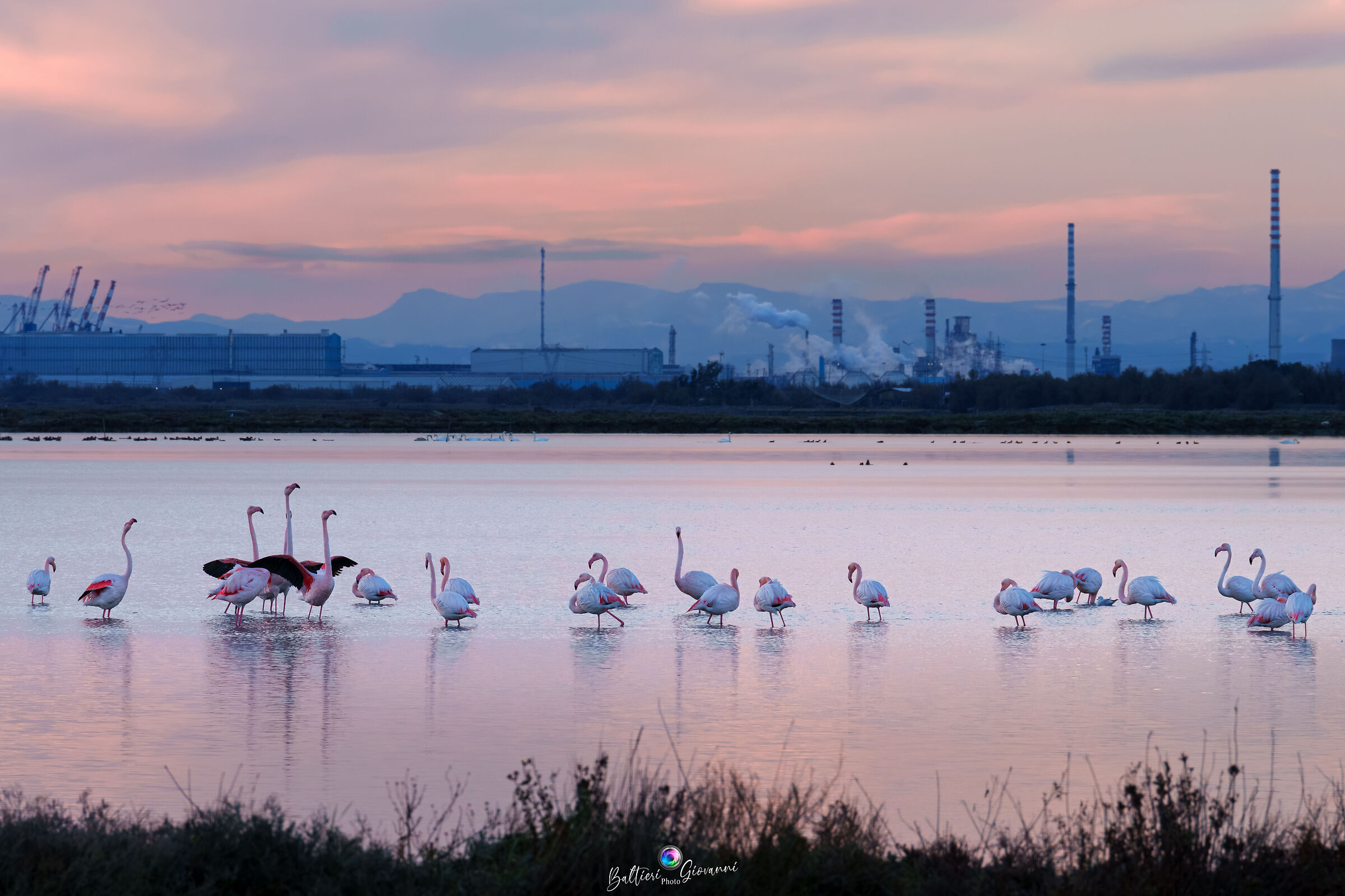 Nature wants its spaces back