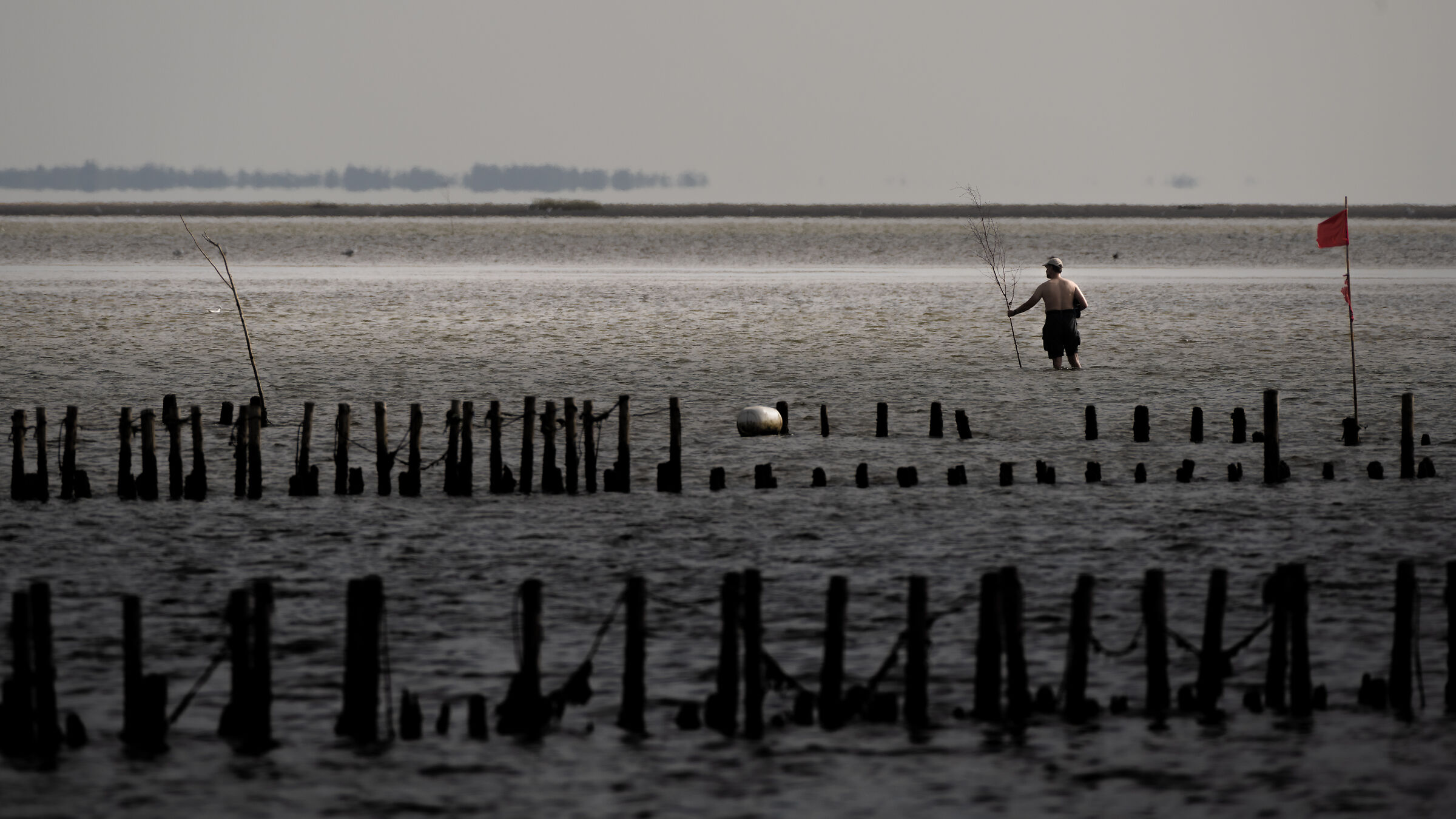 Tide arrived too qiuckly