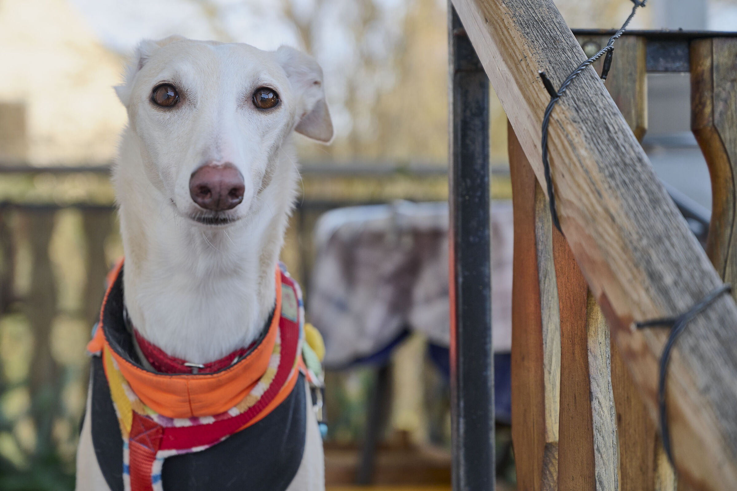 Per me vale la presunzione di innocenza!