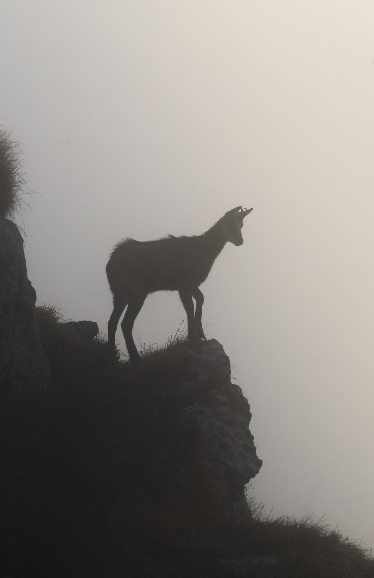 Between boulders and mist