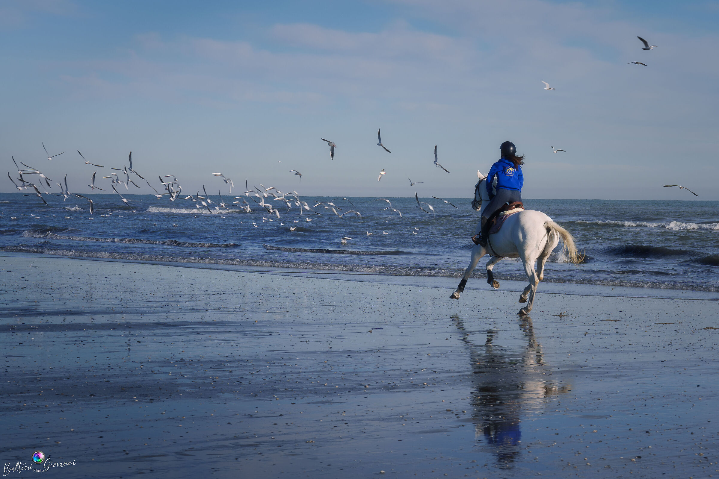 straddling the sky and the sea..... and seagulls