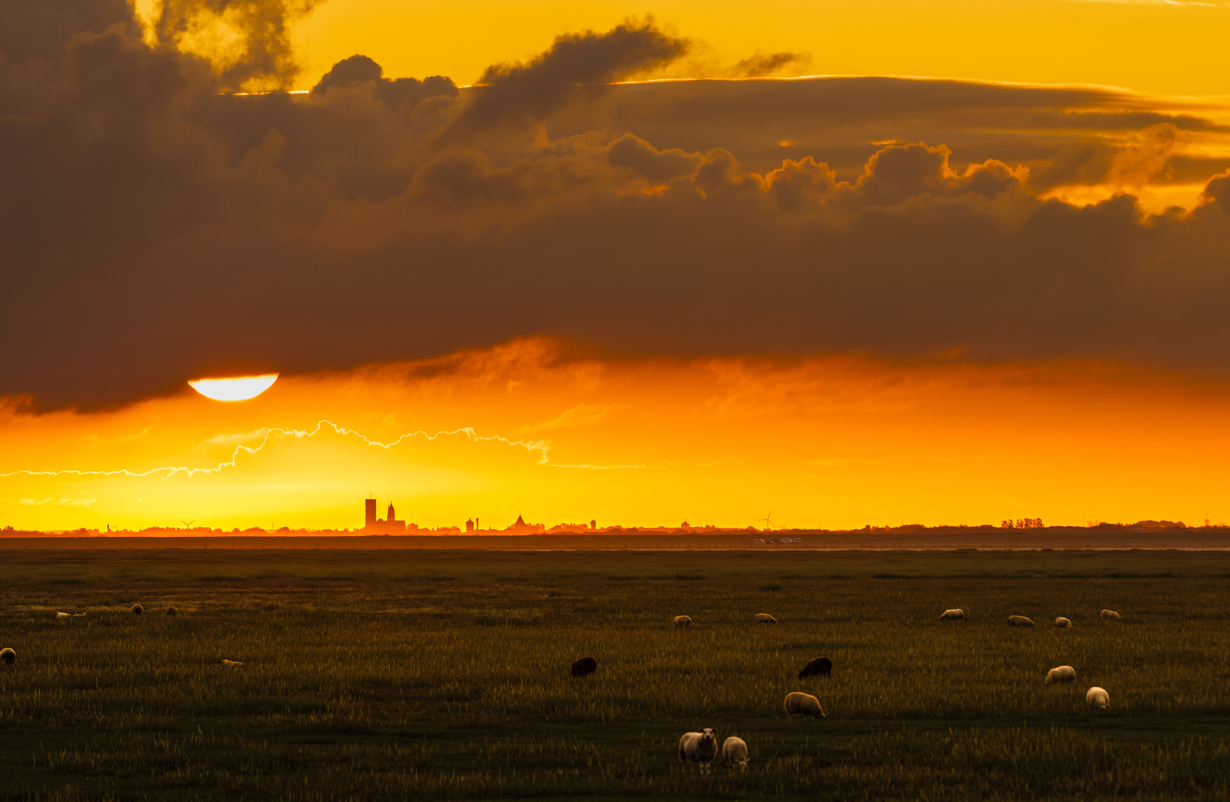 Ribe Cathedral from Mandø