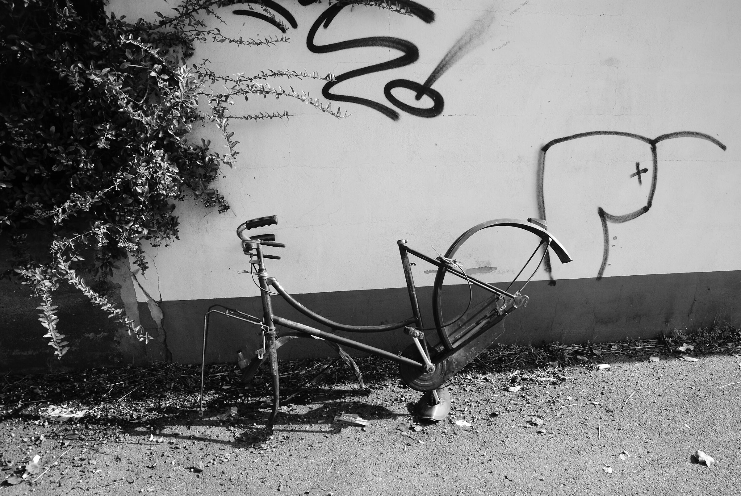 Pedala - biciclette