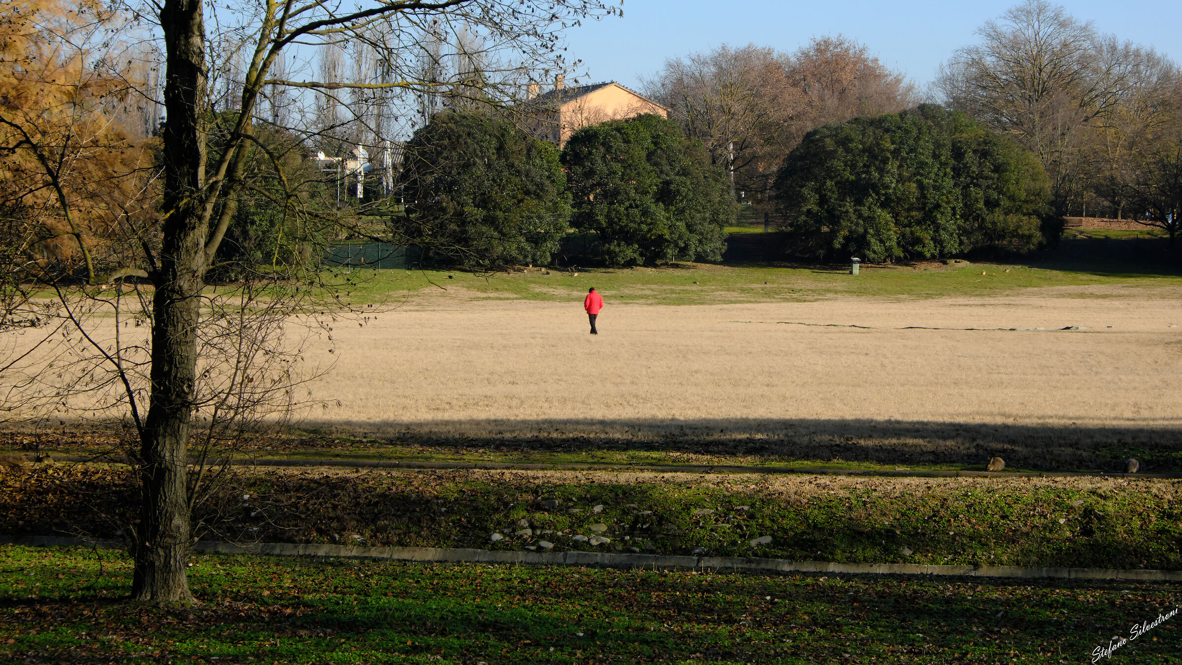 Buone Feste a tutti (speriamo)
