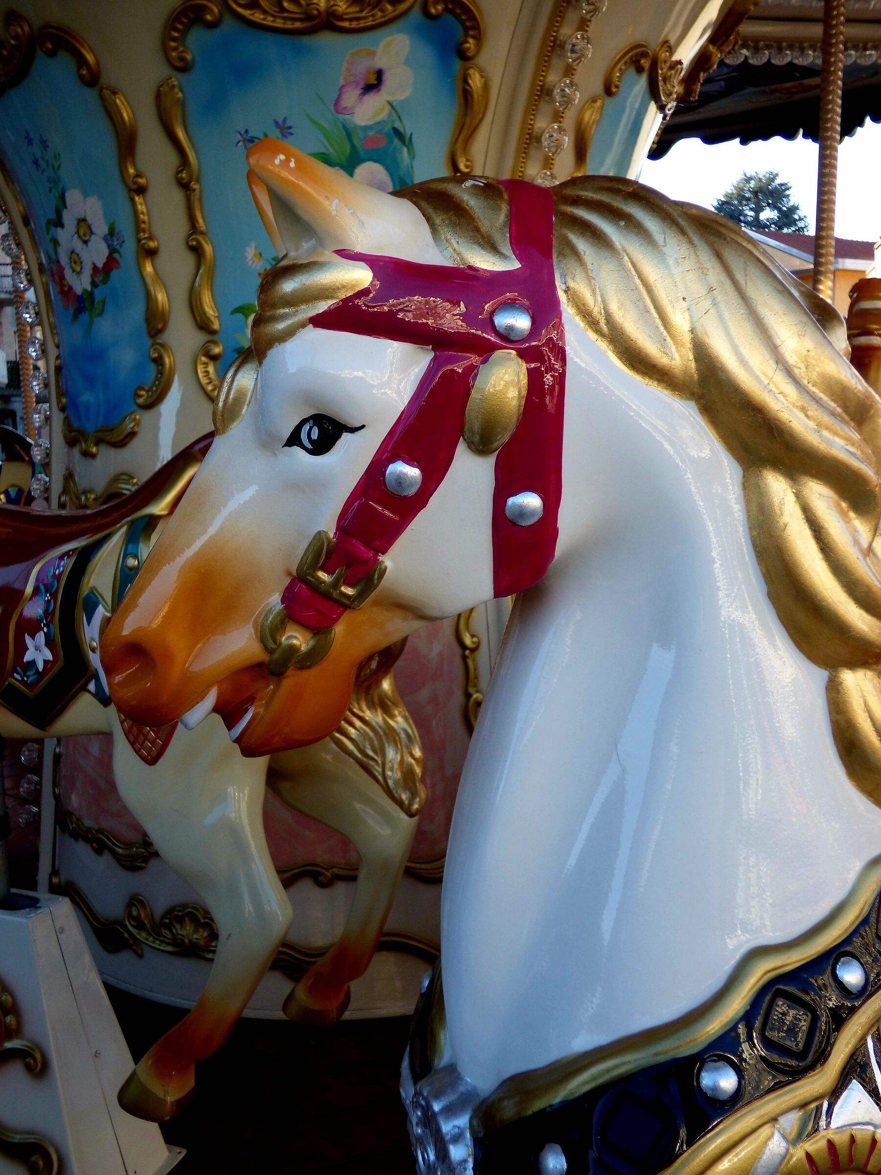 French Carousel