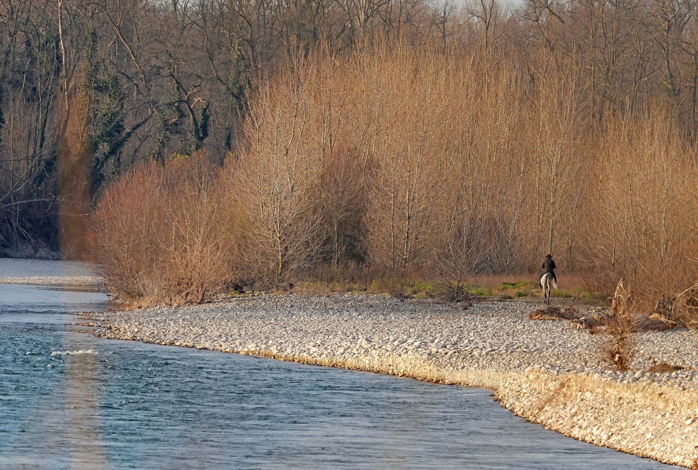 Meetings at Parco Ticino