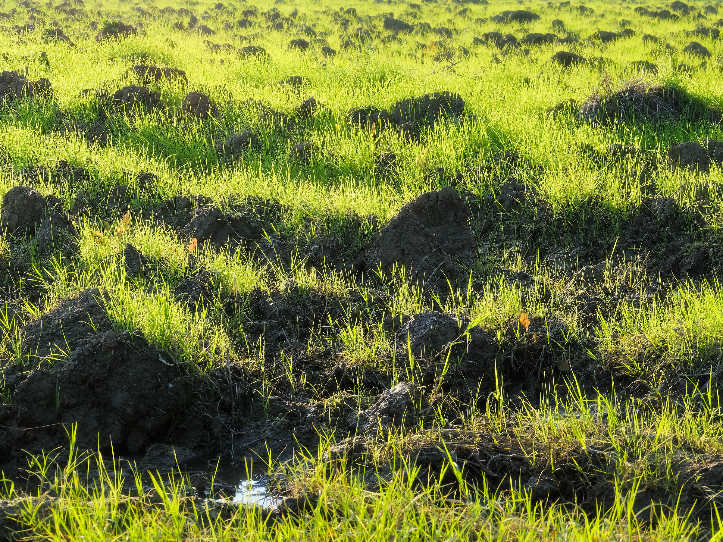 Ultimi scampoli d'Autunno