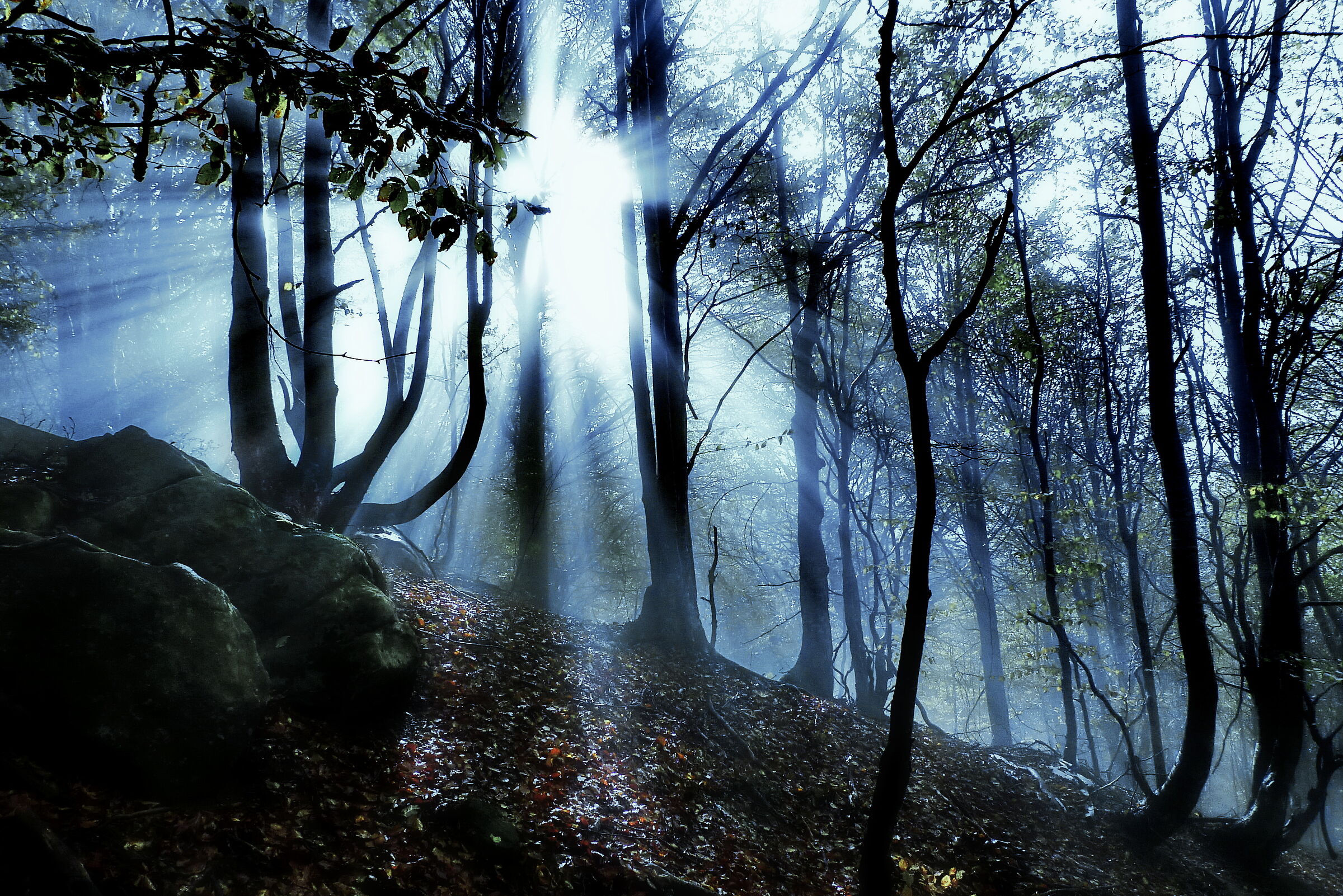 Nebbia e sole