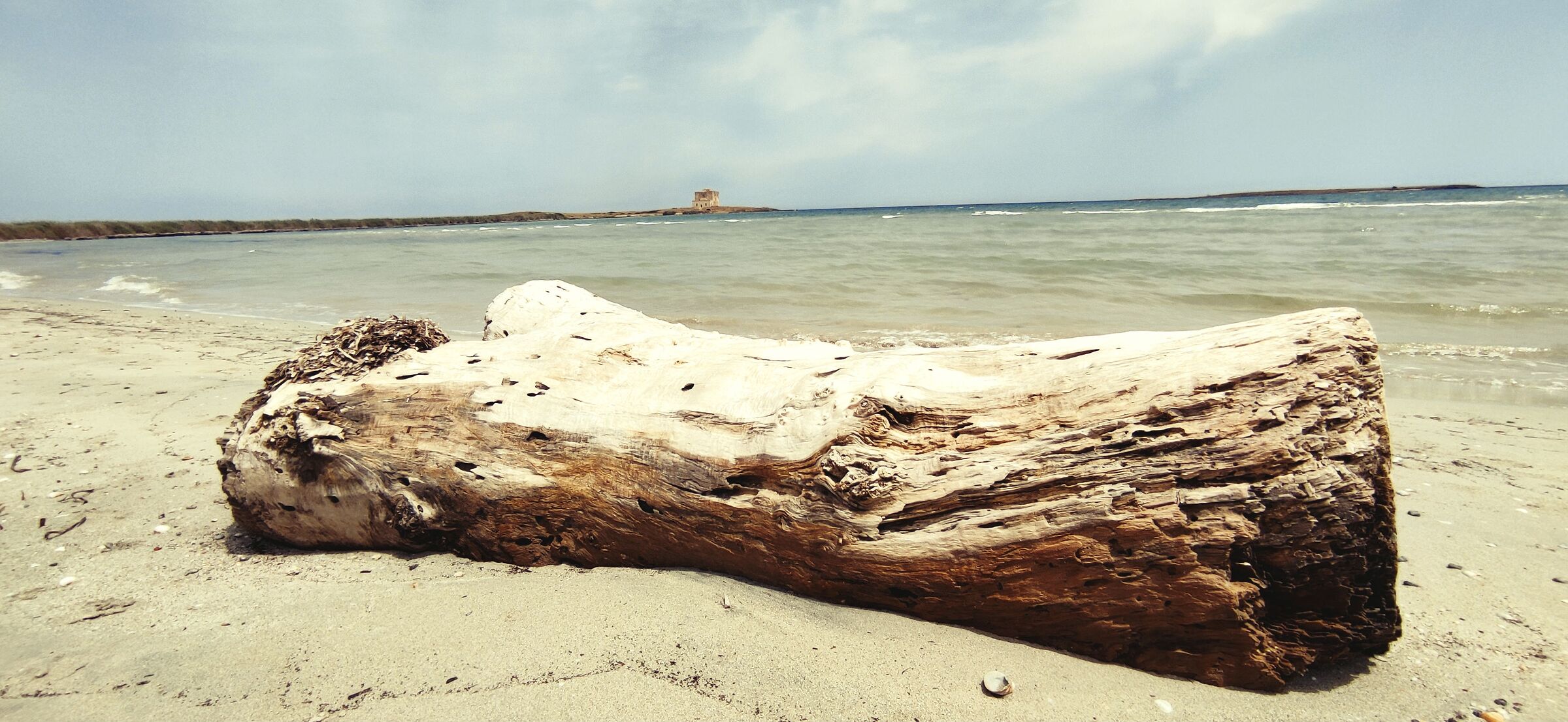 Torre Guaceto