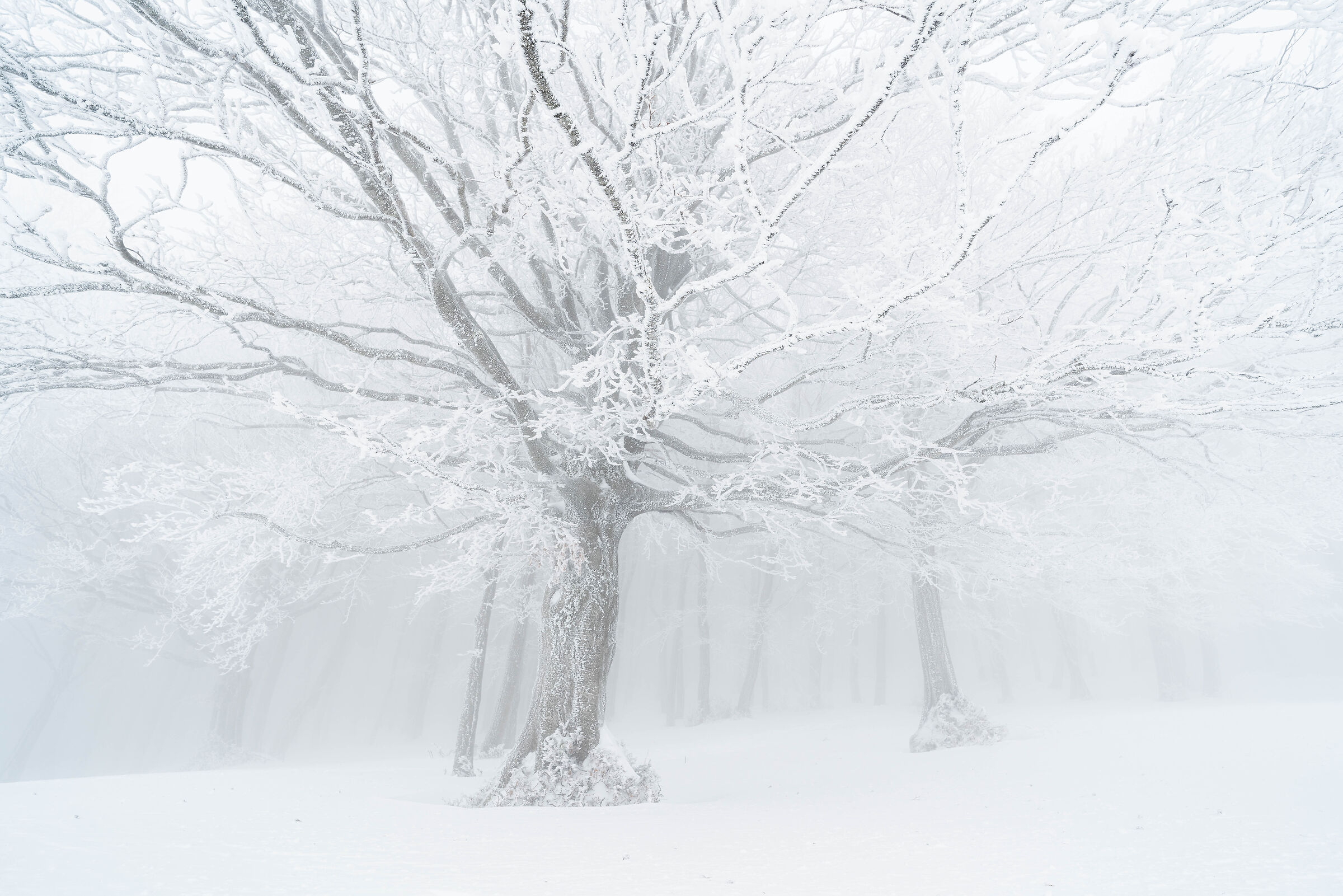Inverno