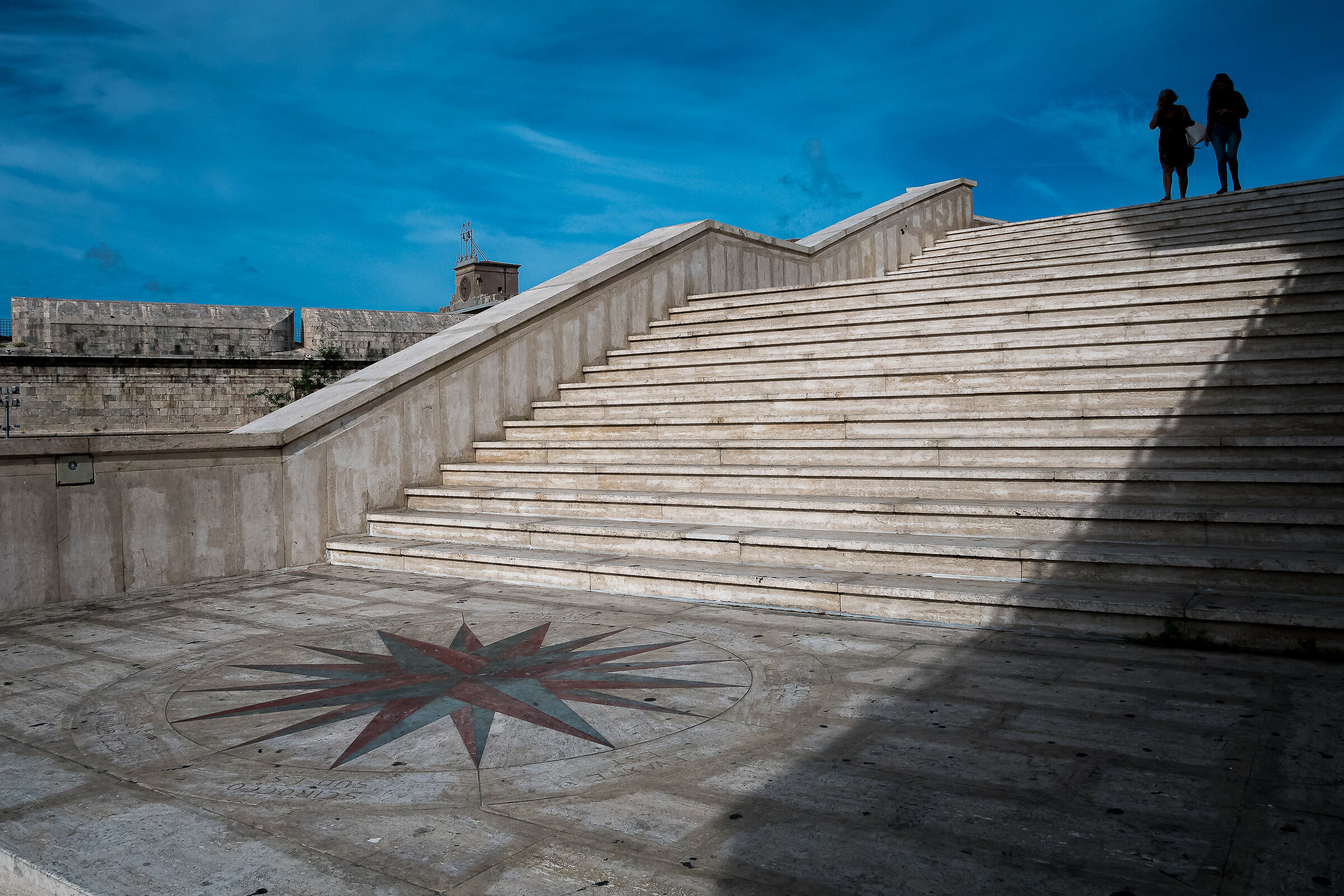 The Compass Rose