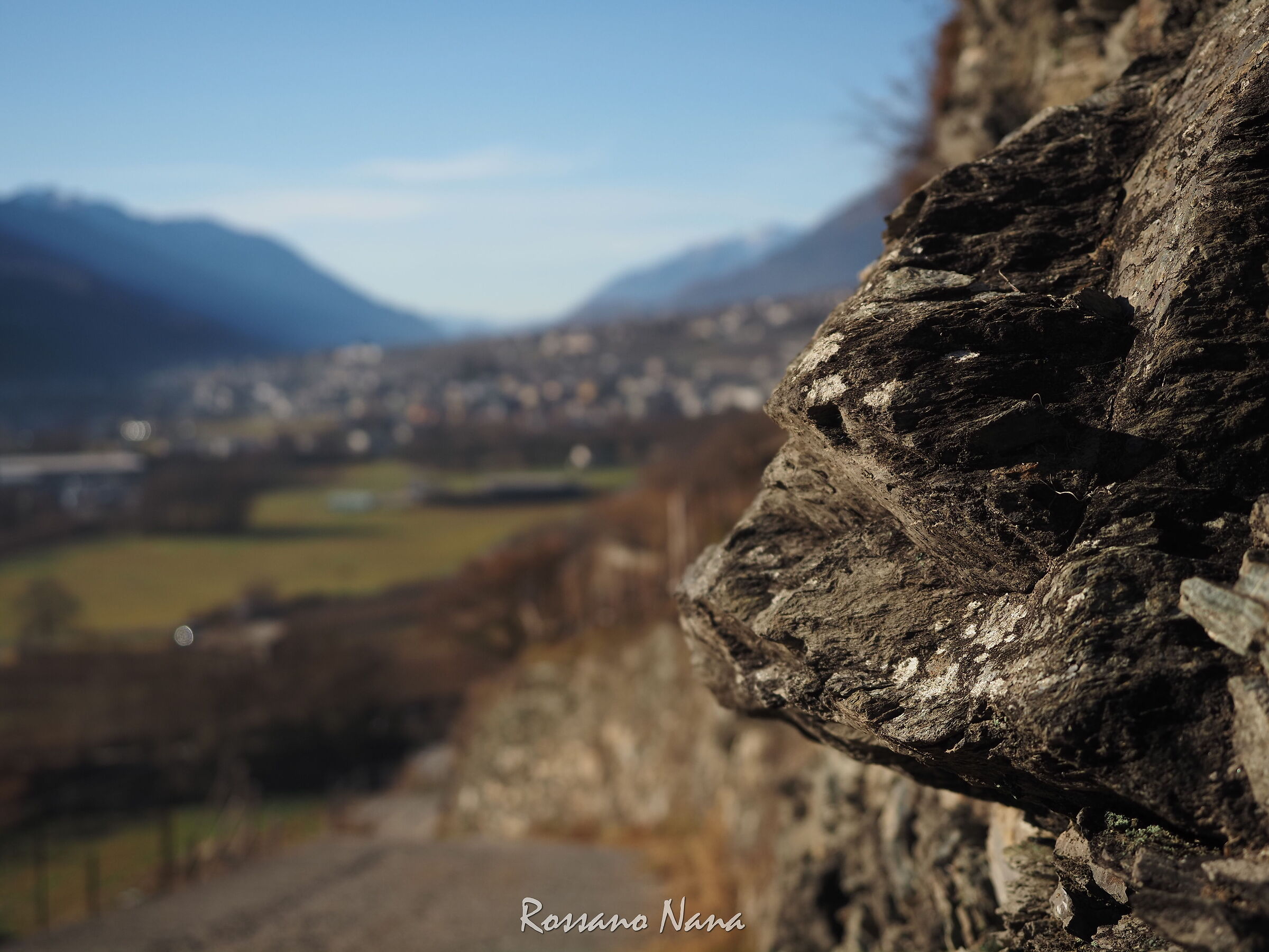 Un cinghiale di roccia