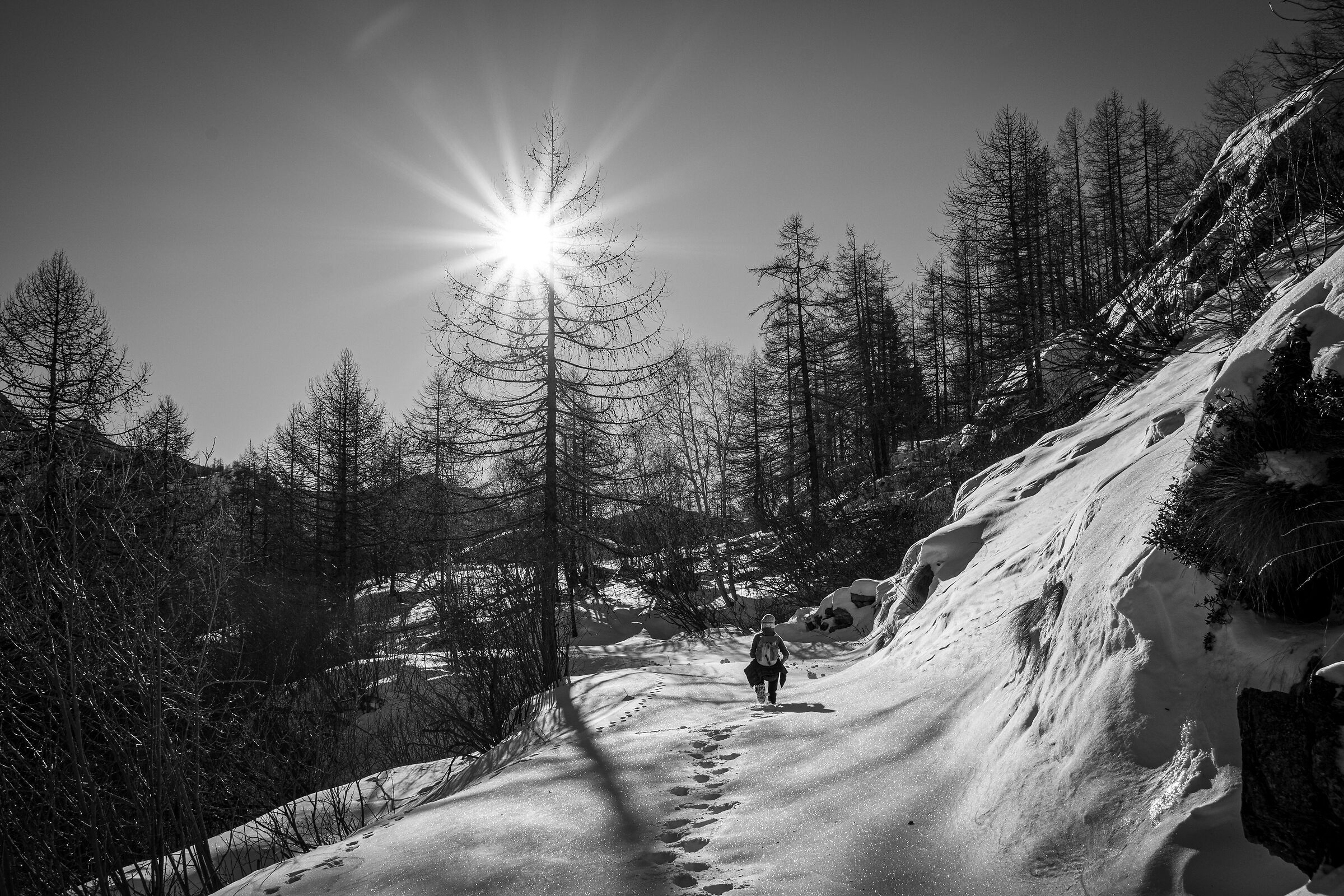 Valtournenche