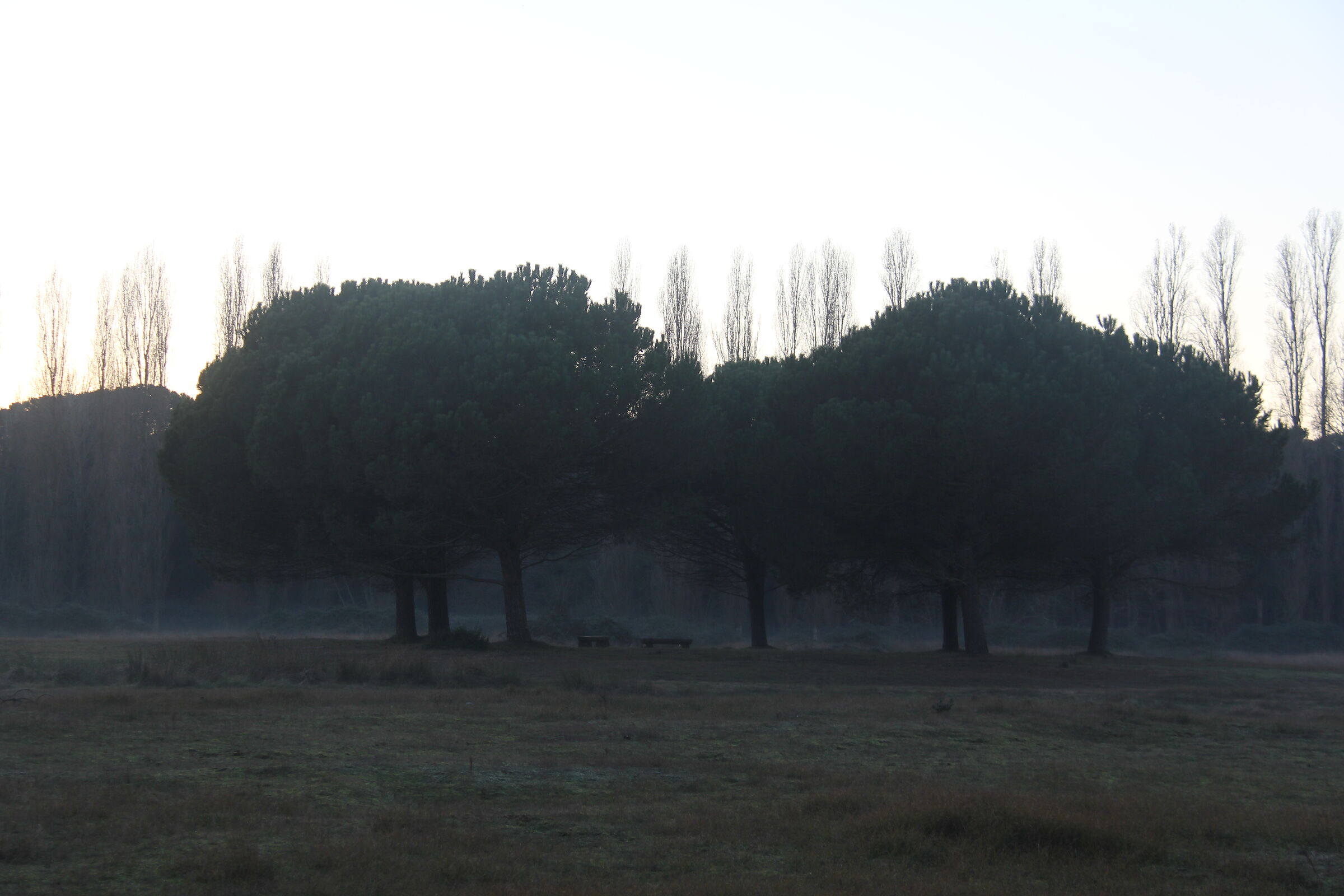 Crepuscolo nel Parco