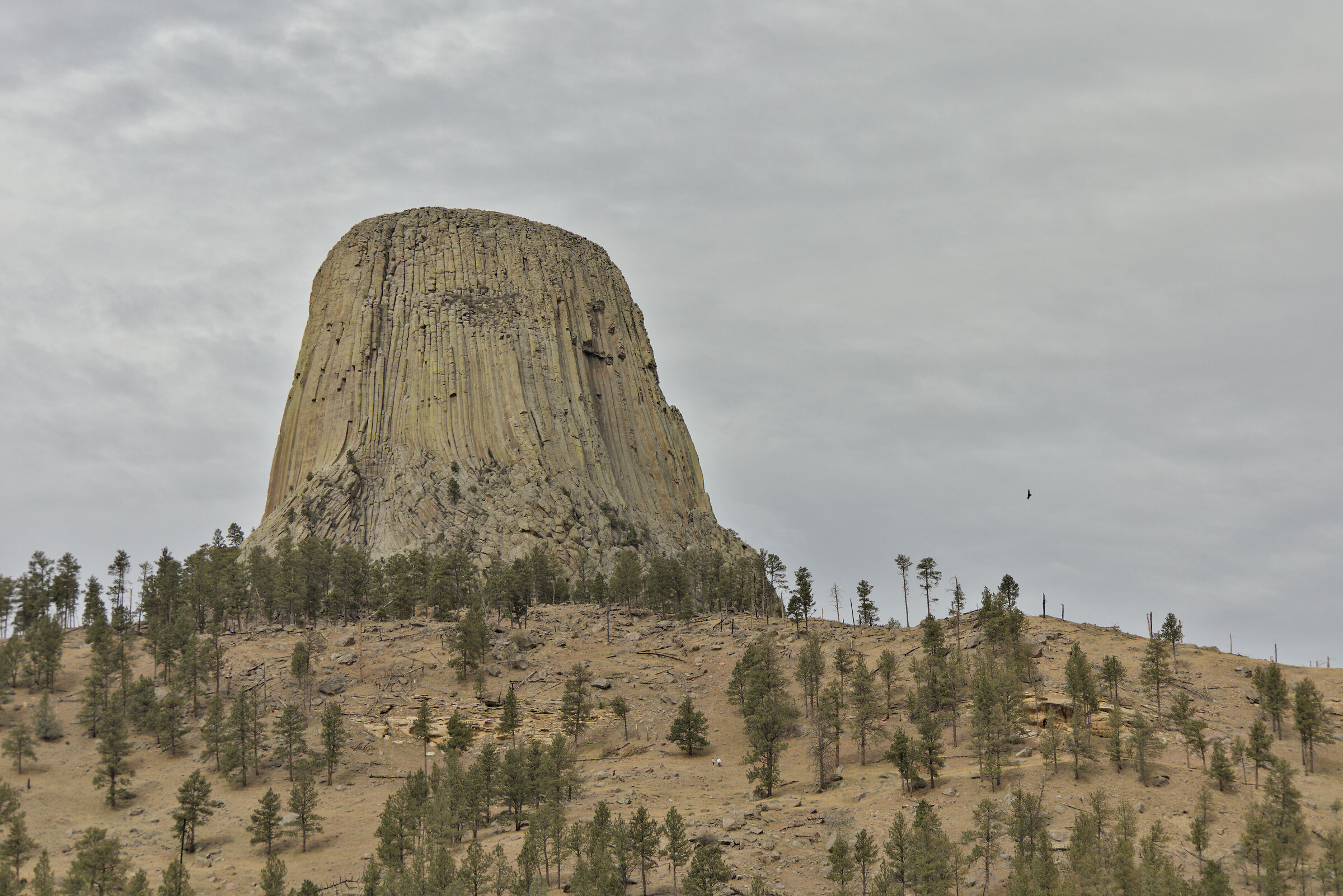 Devils Tower