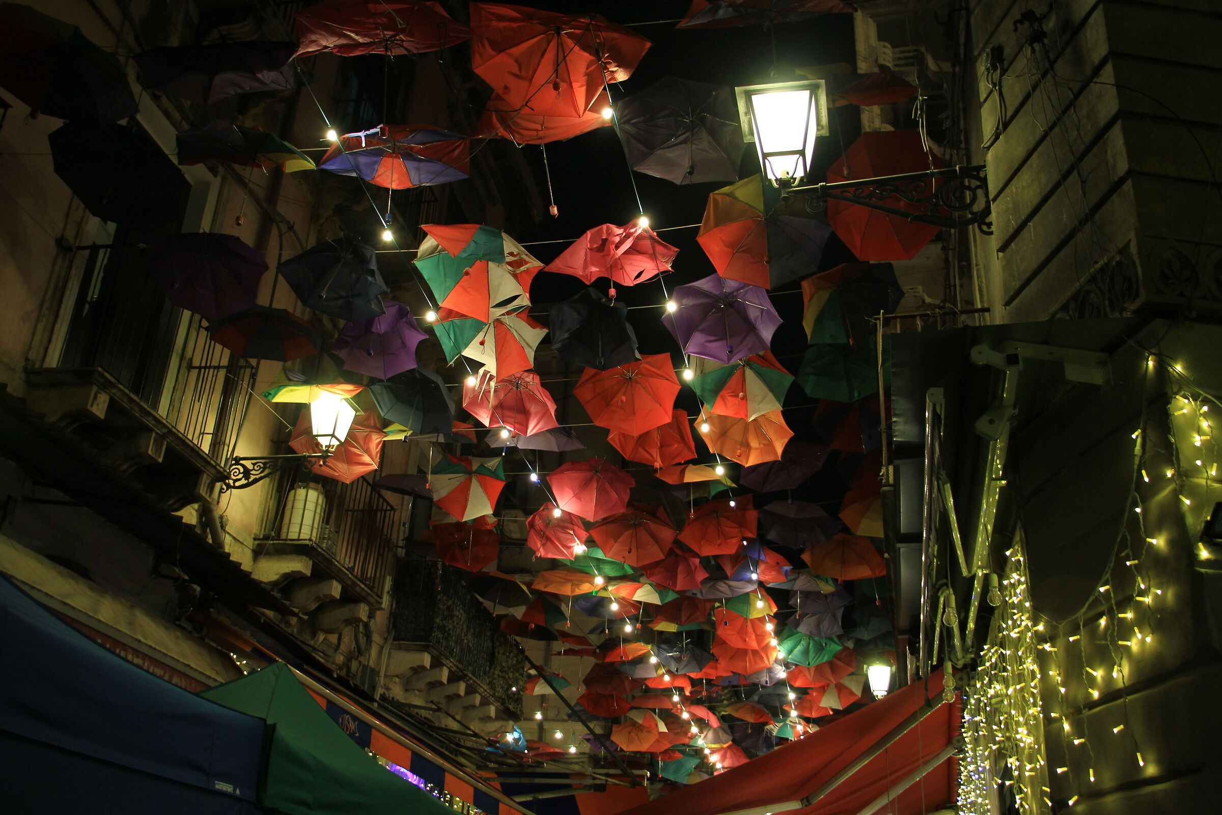 Umbrellas at Christmas