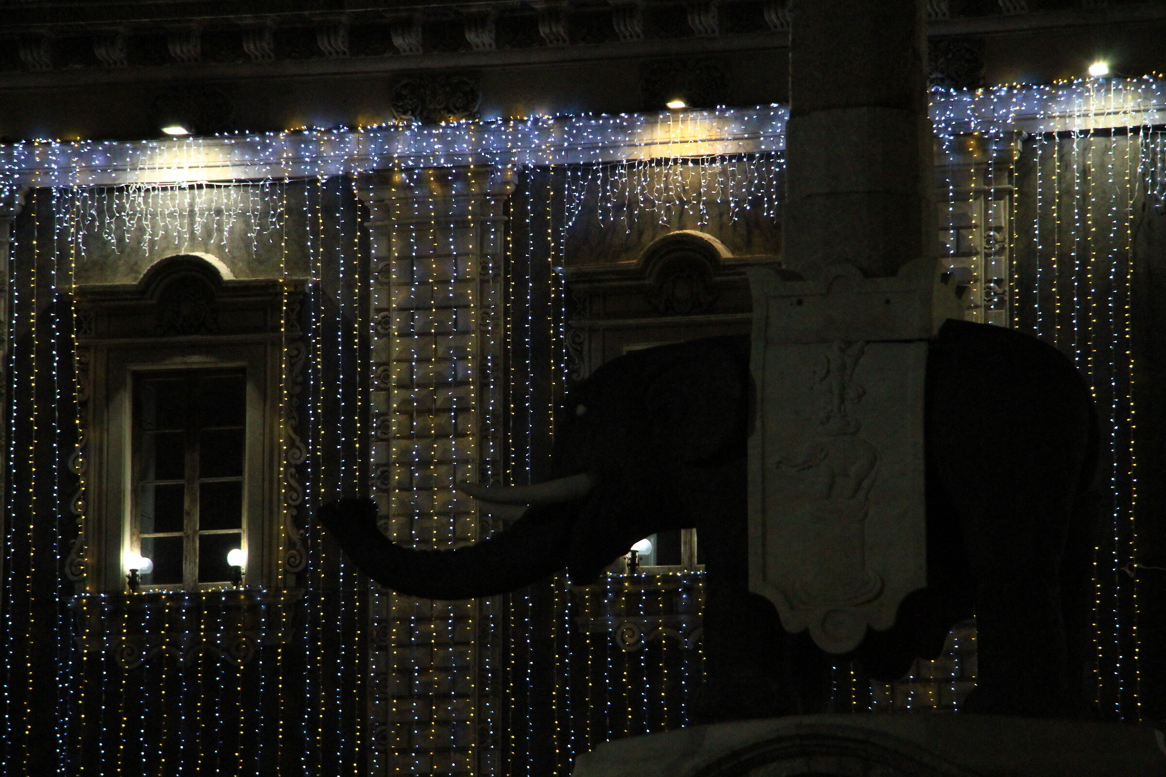 Liotru at Christmas