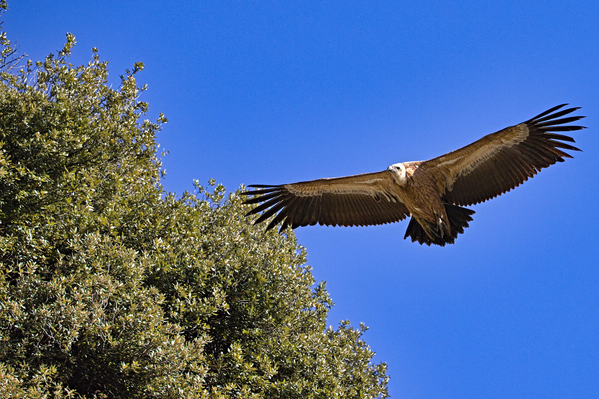 Permission to land?