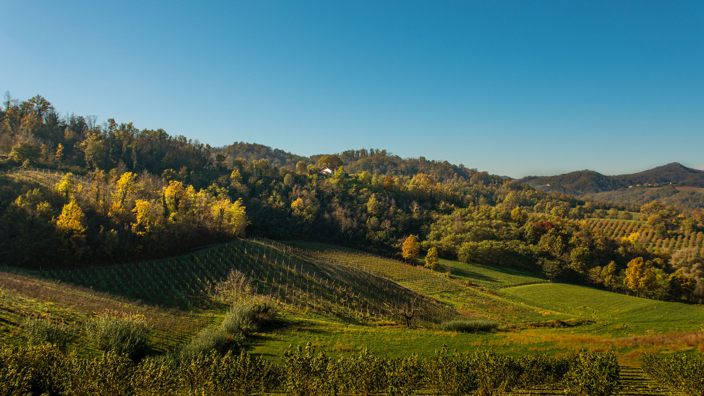 November impressions