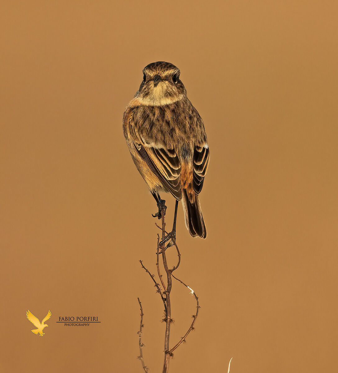 al tramonto i colori si confondono