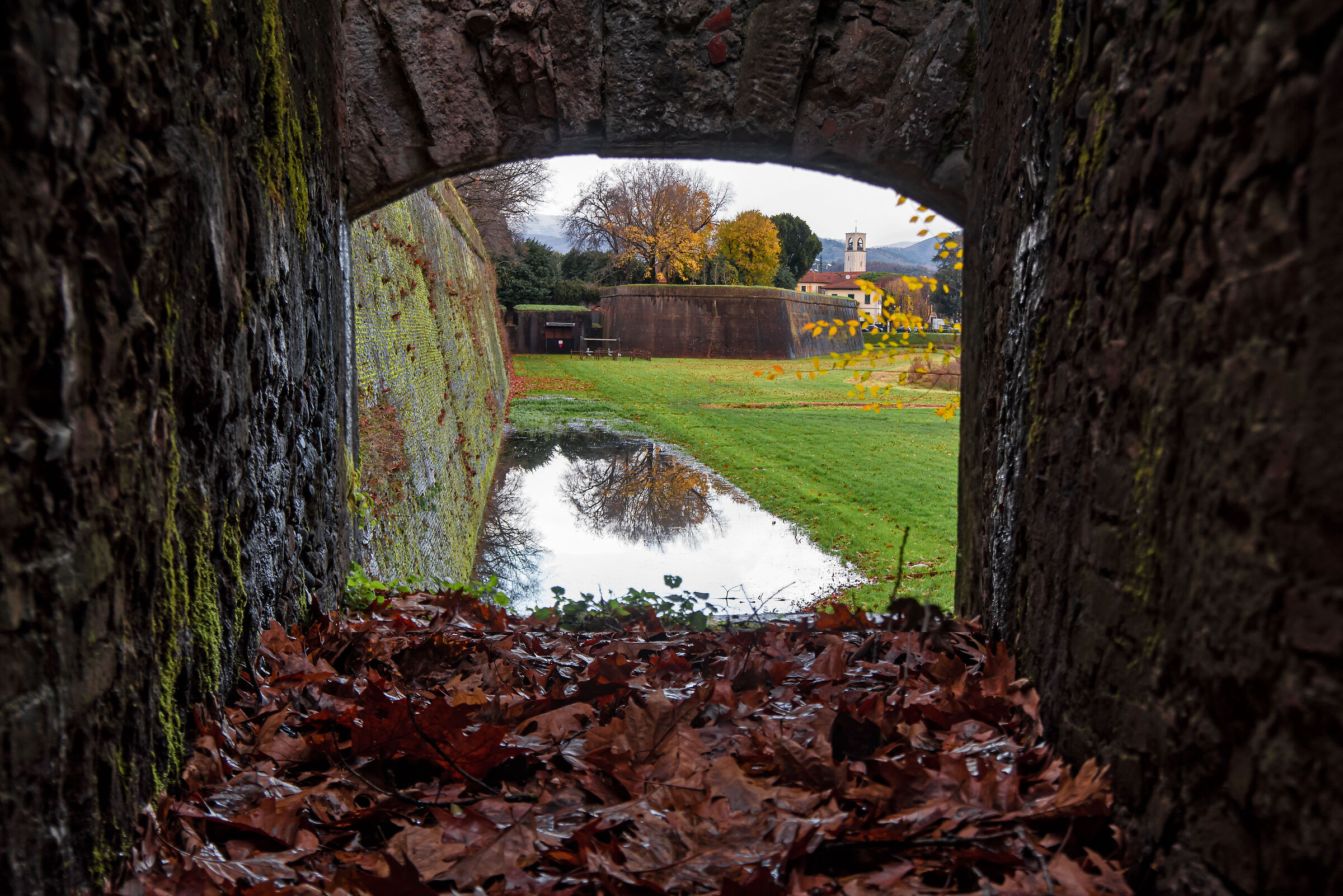 WINDOWS: WITHIN THE WALLS OF LUCCA