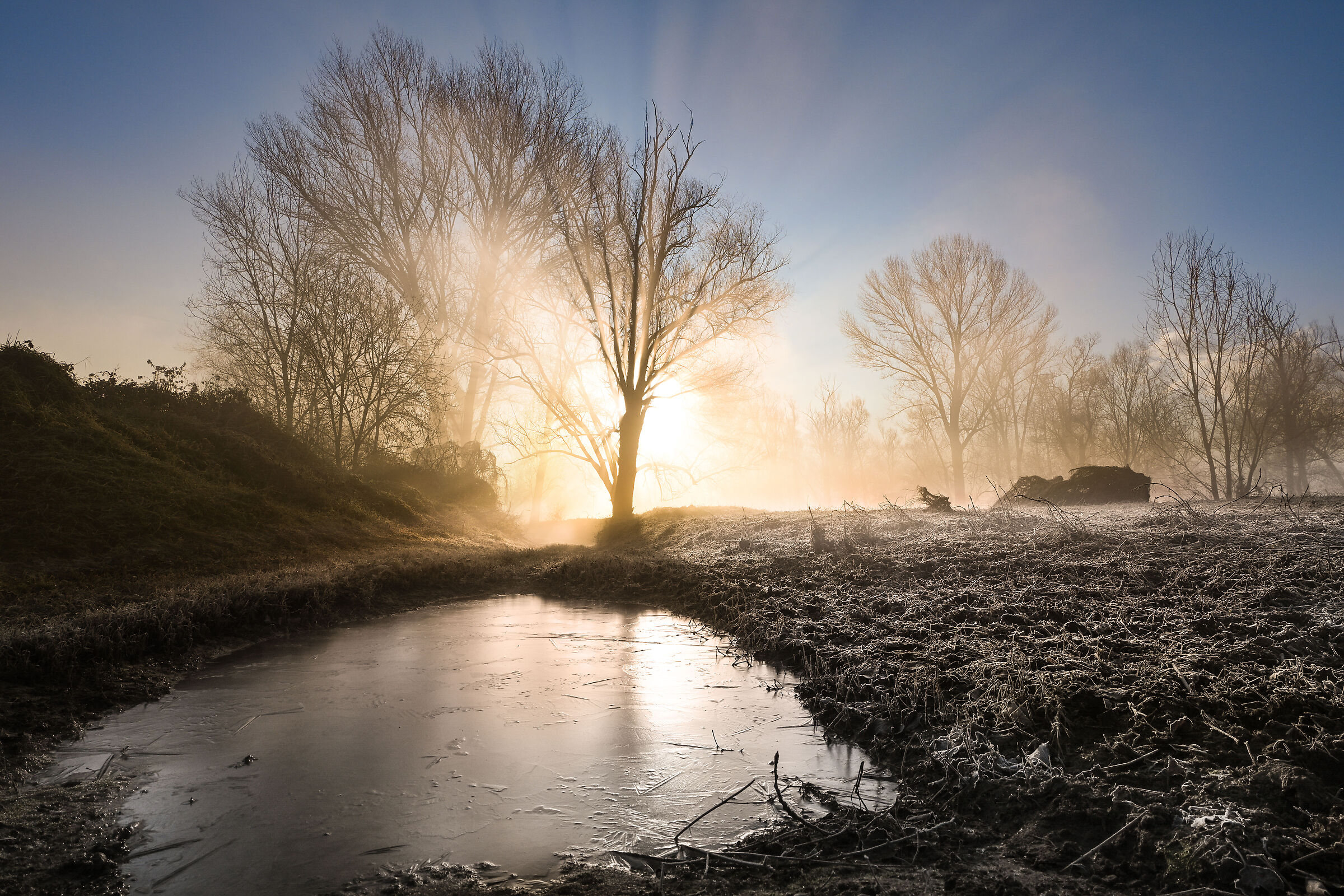 Lights of dawn