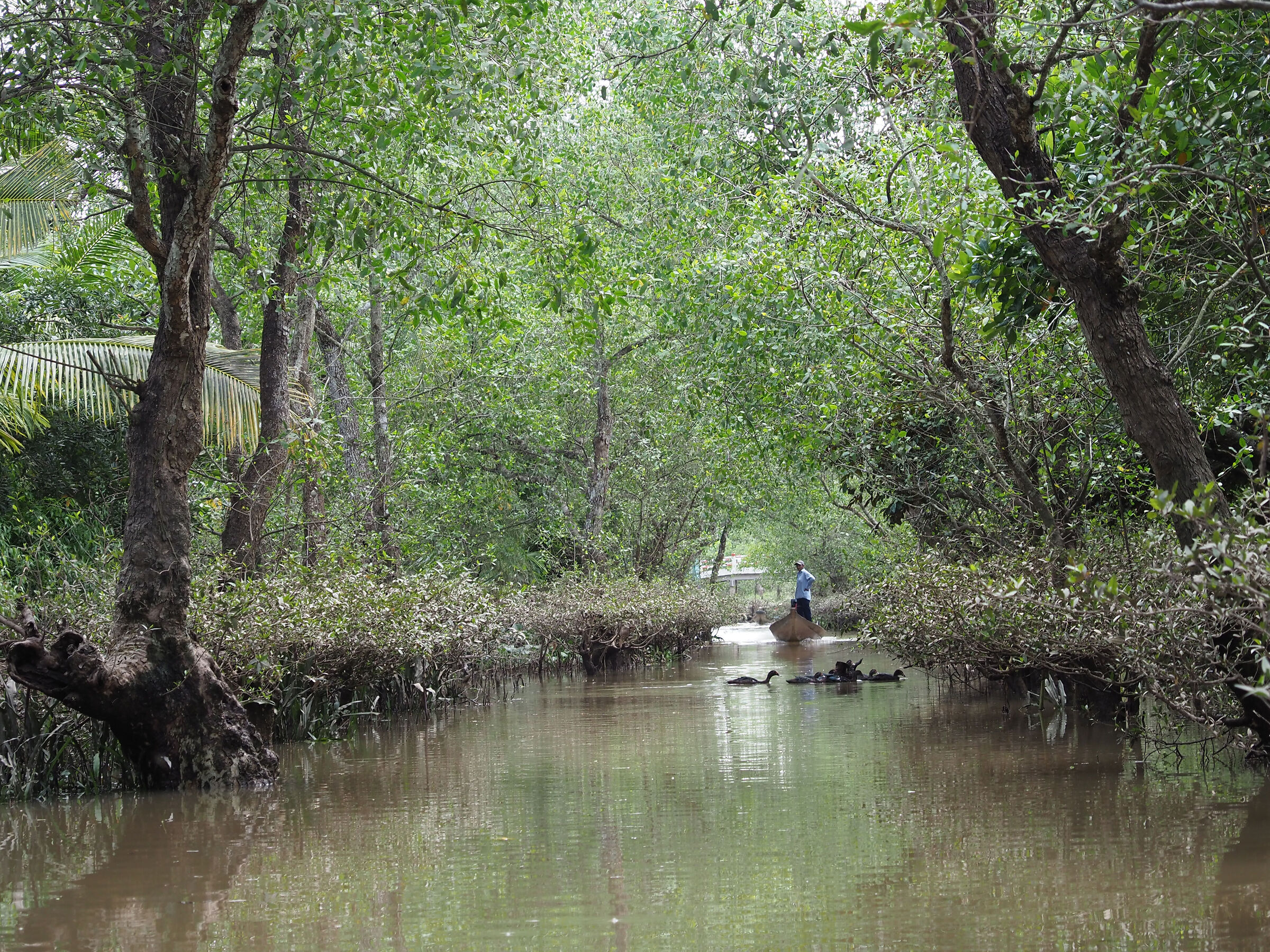 Mekong Delta