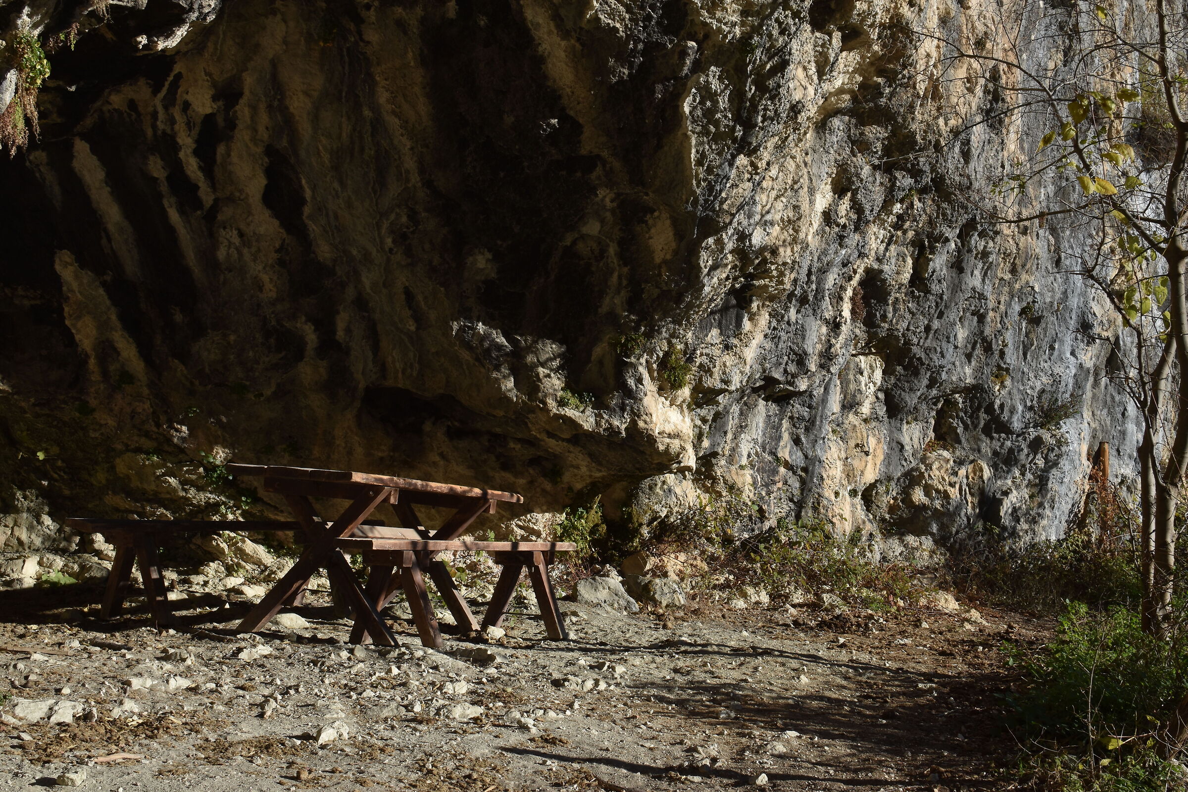 PicNic at high altitude