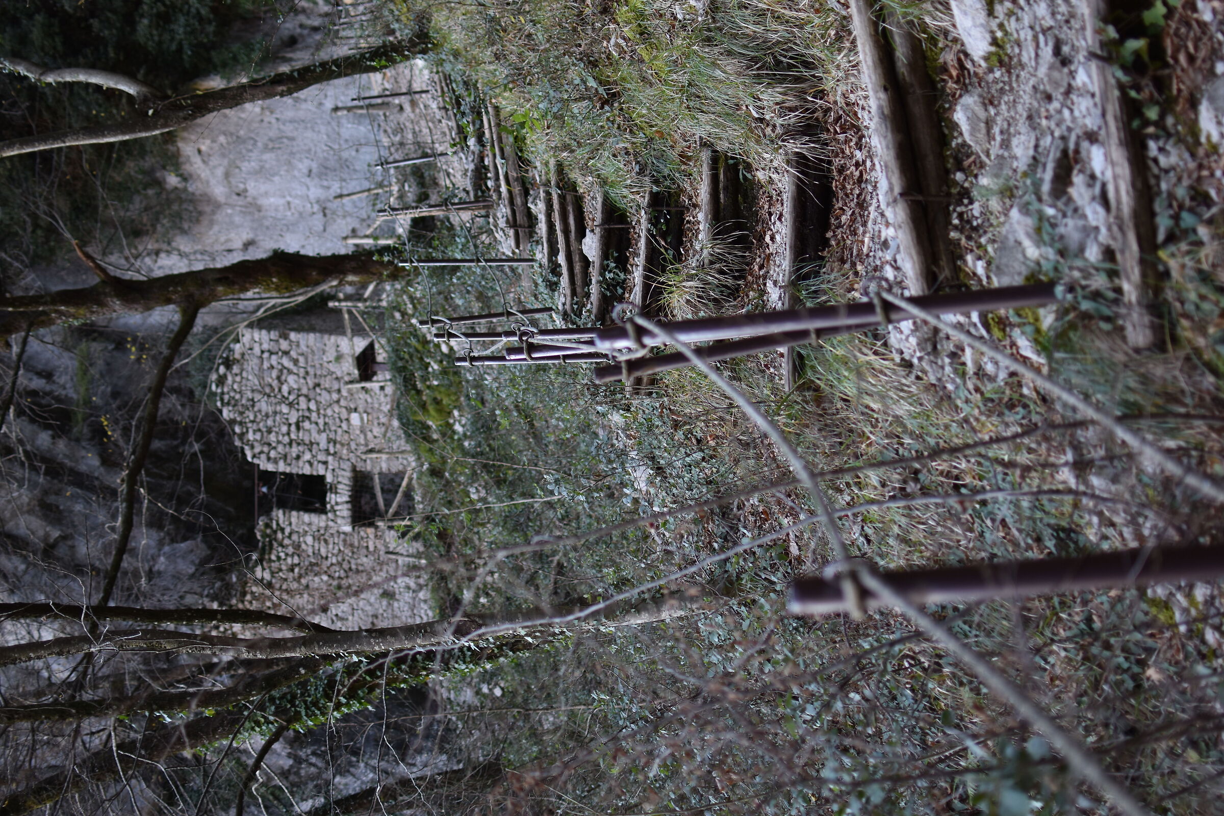 L'arrivo al Santuario.