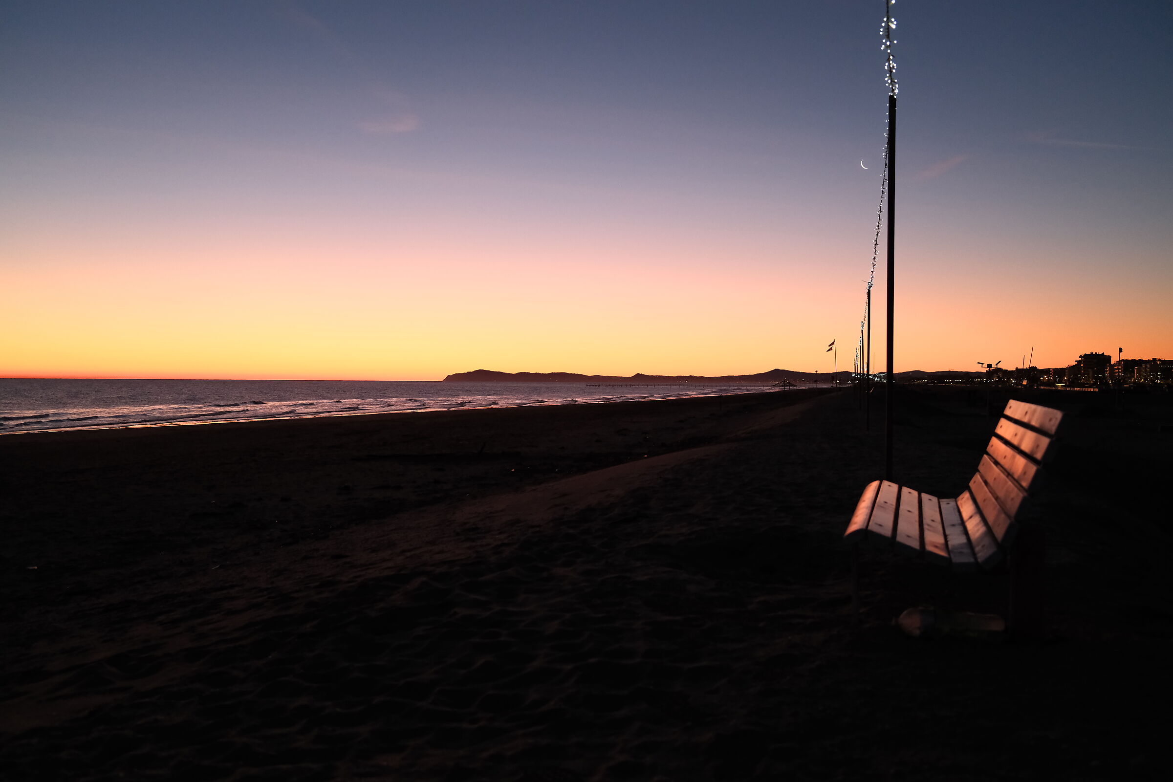 Staring at the sea