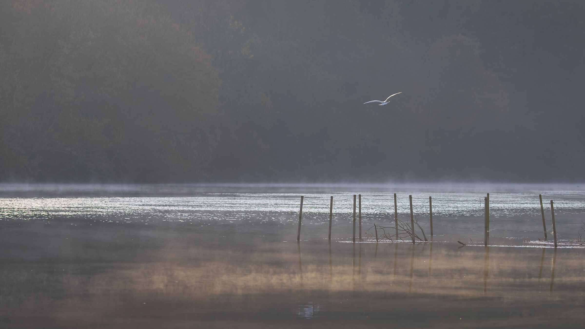 Scorci dell 'Adda - Prime ore del giorno