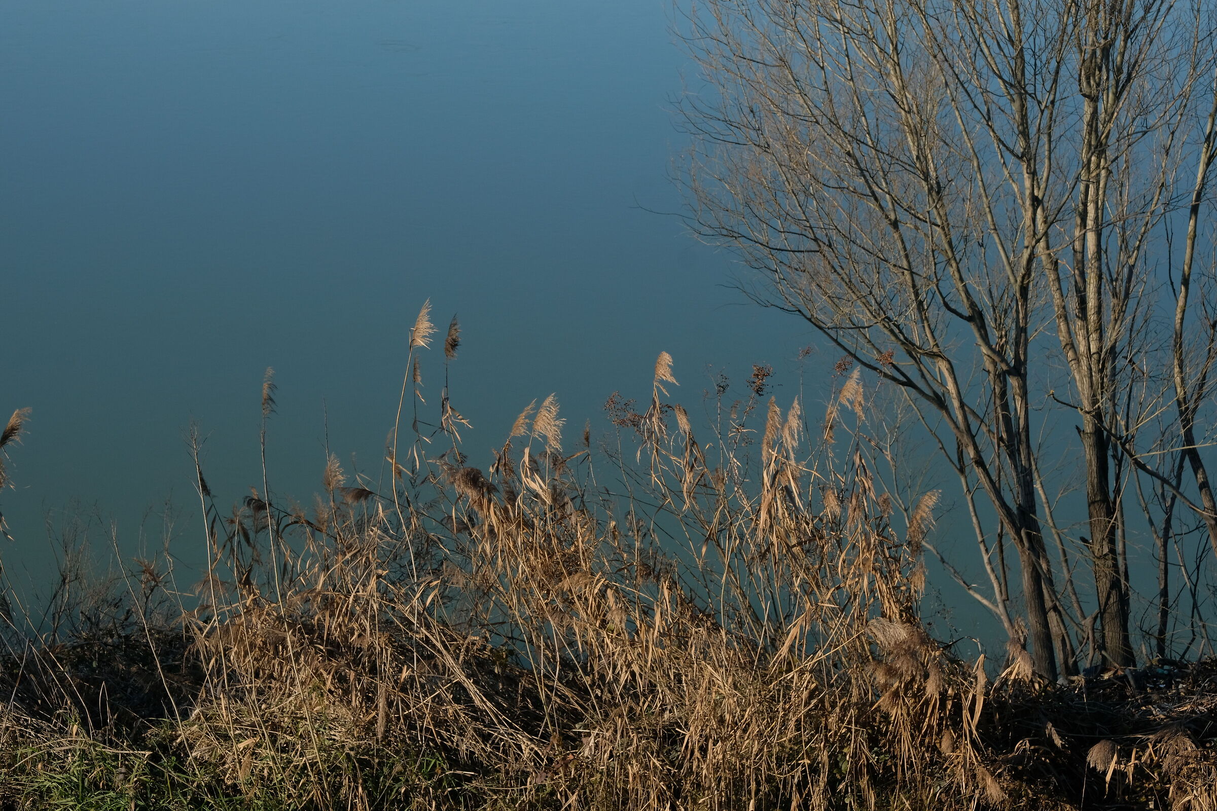 Il fiume Po d'inverno