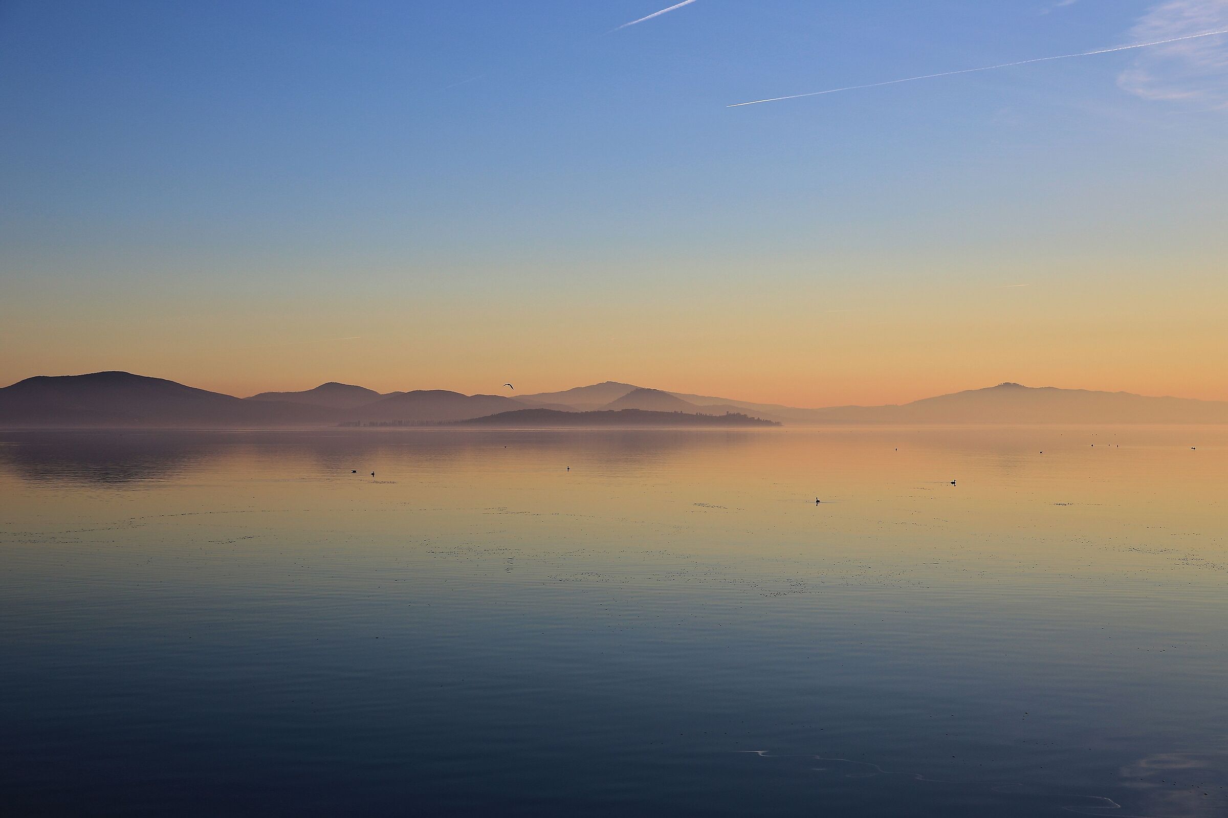 Trasimeno!