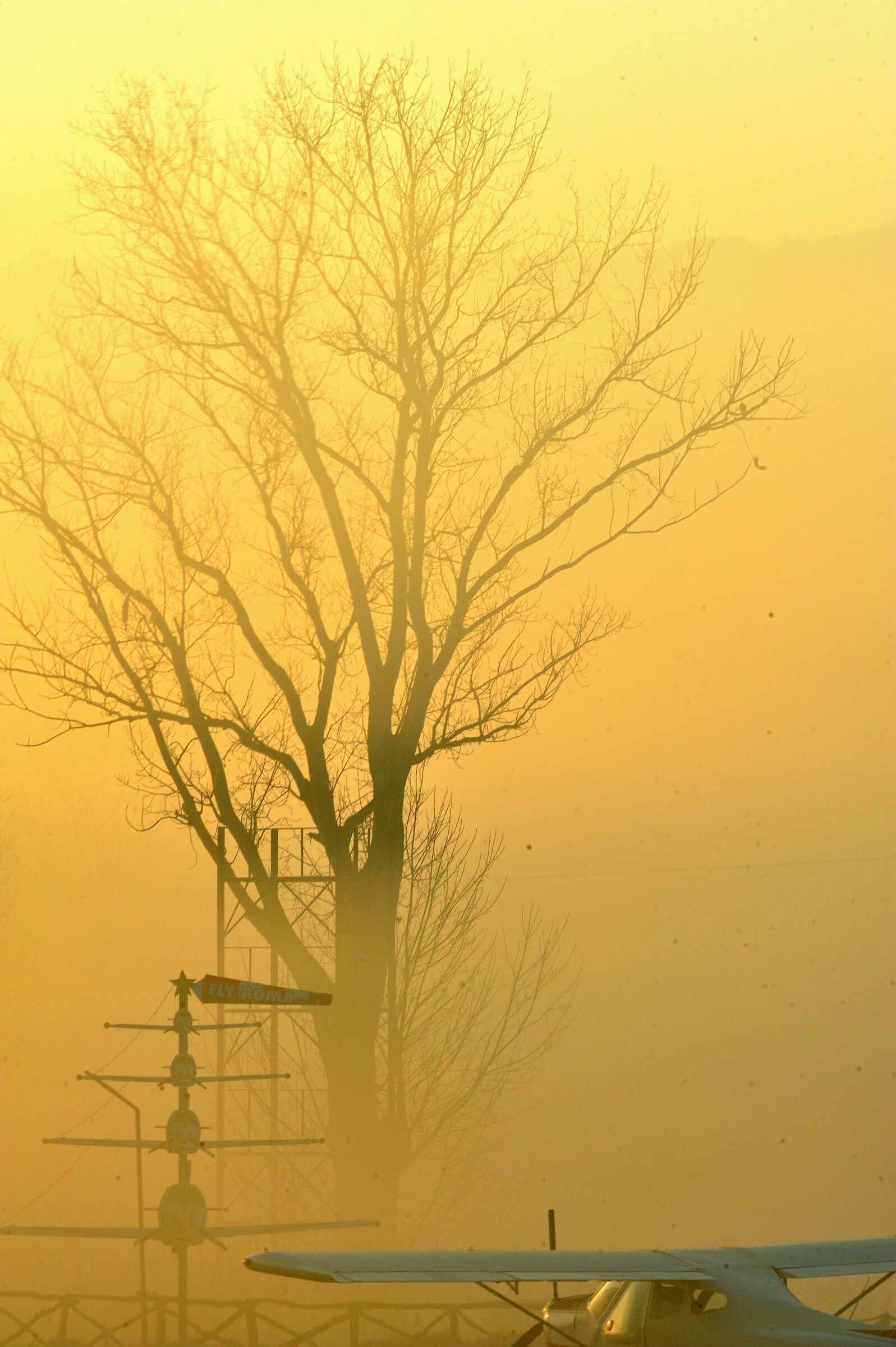 Strange to wander in the fog.