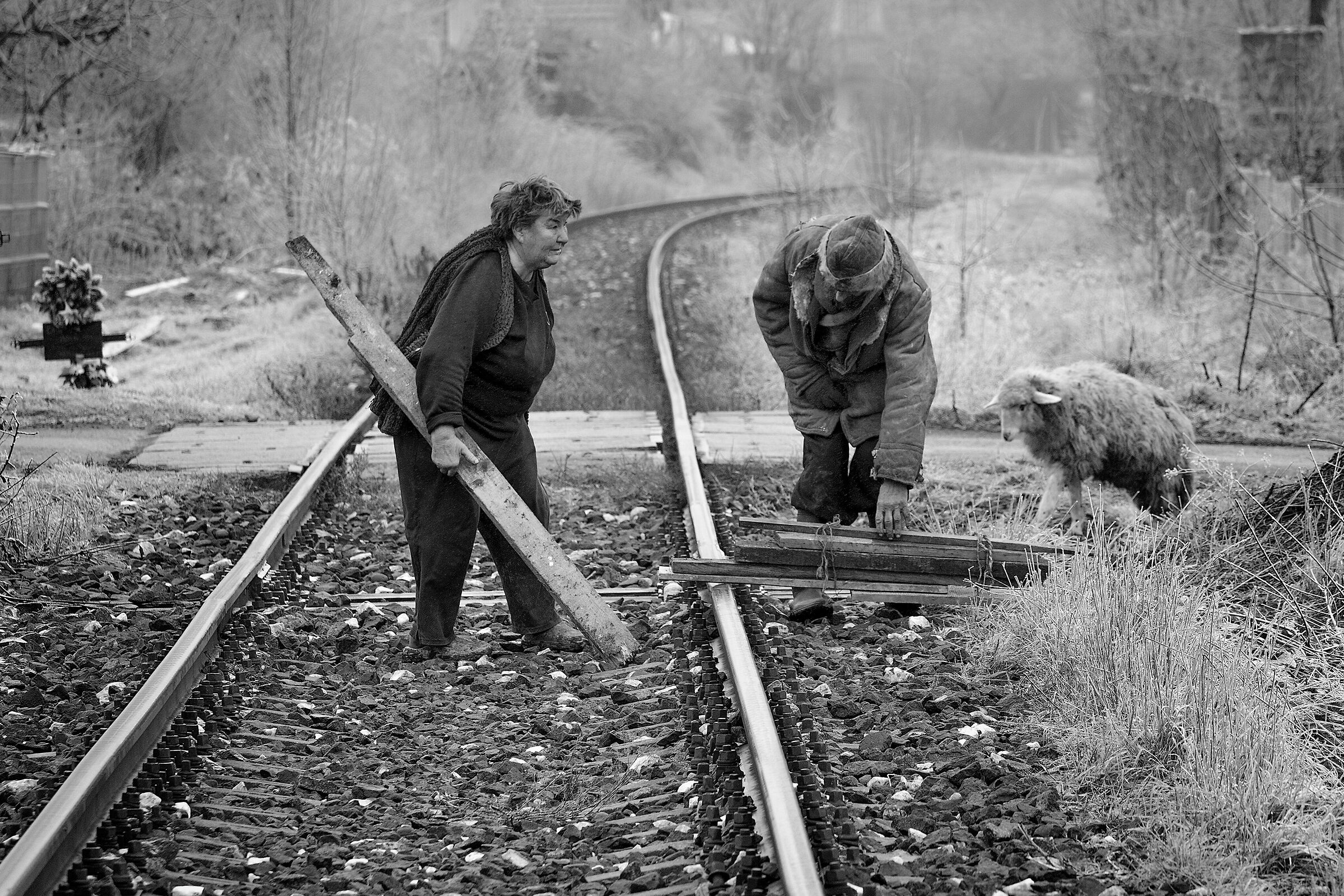 quadro di vita rurale