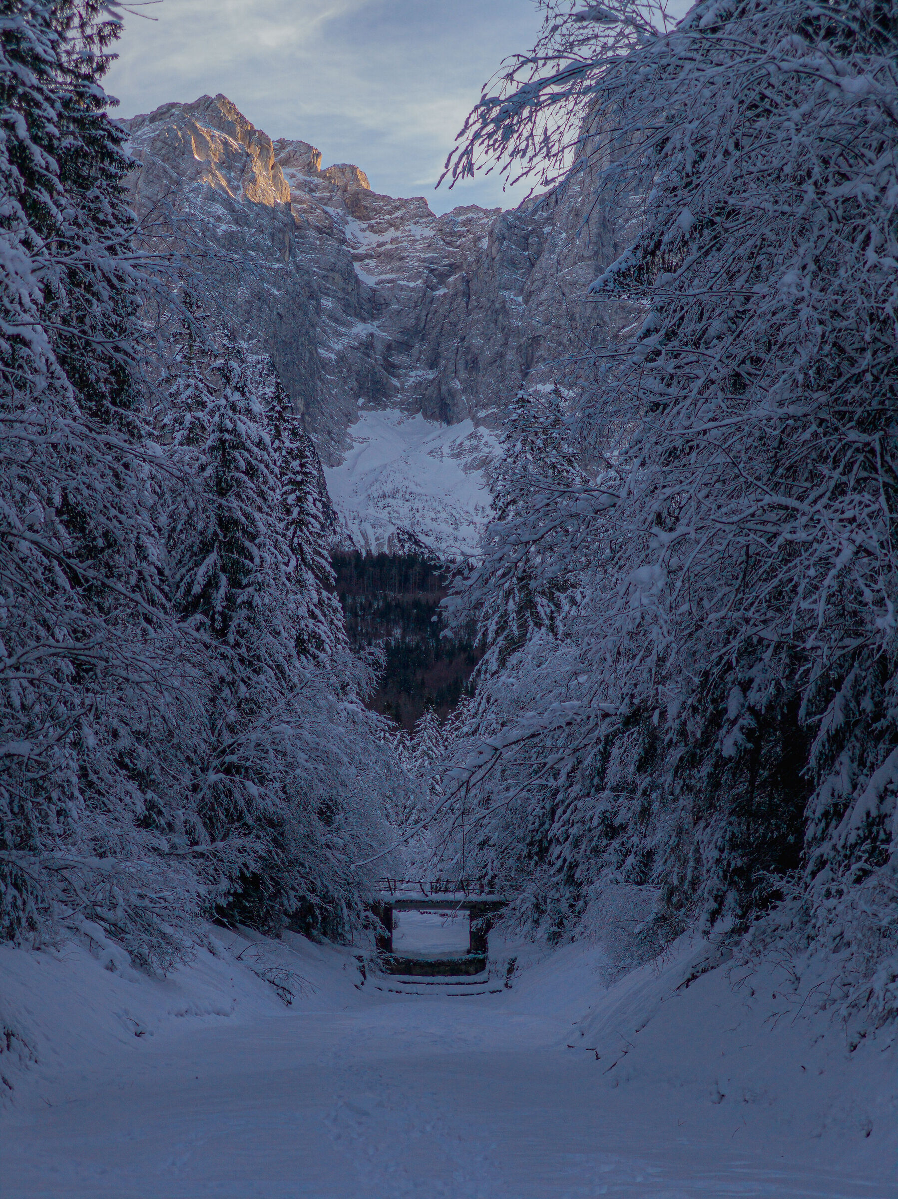 Inside the Mountain