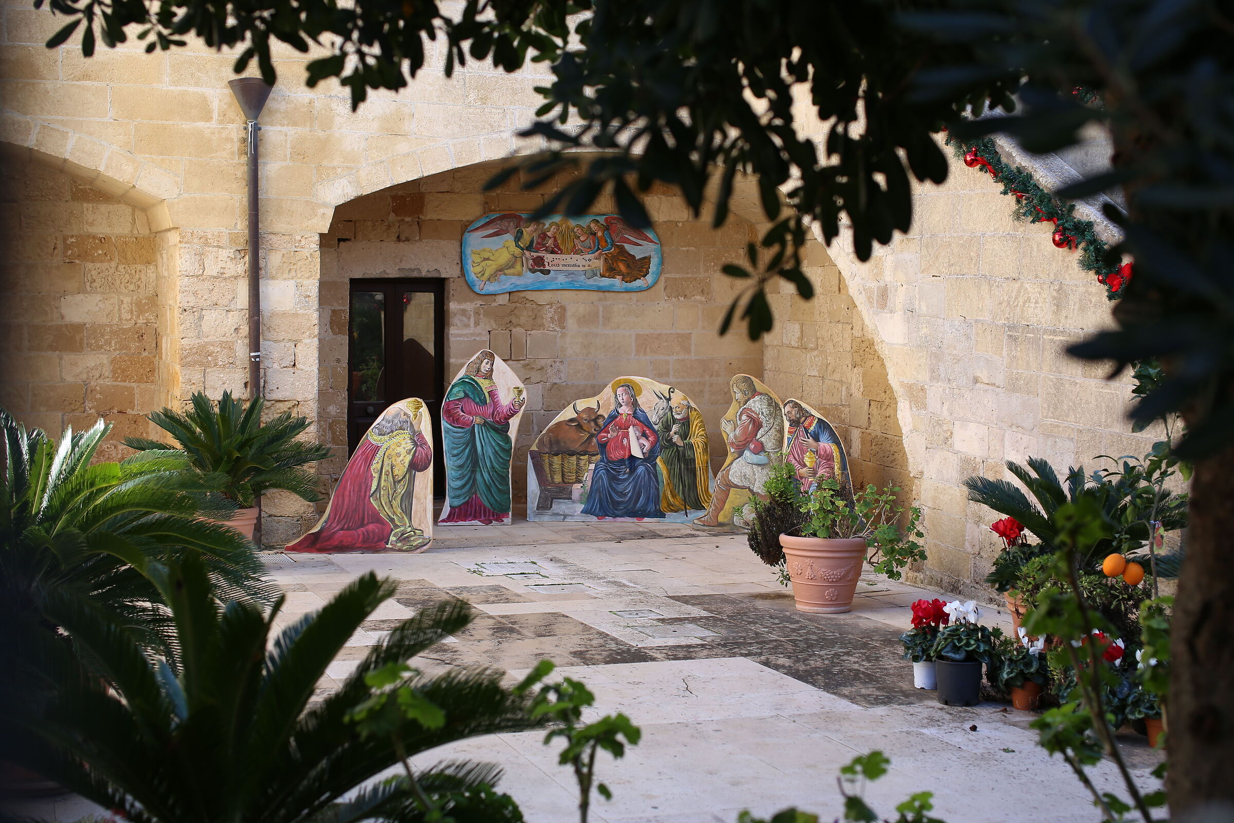 Ei, Milvus Zeiss 50, 1.4- Canon 6 D