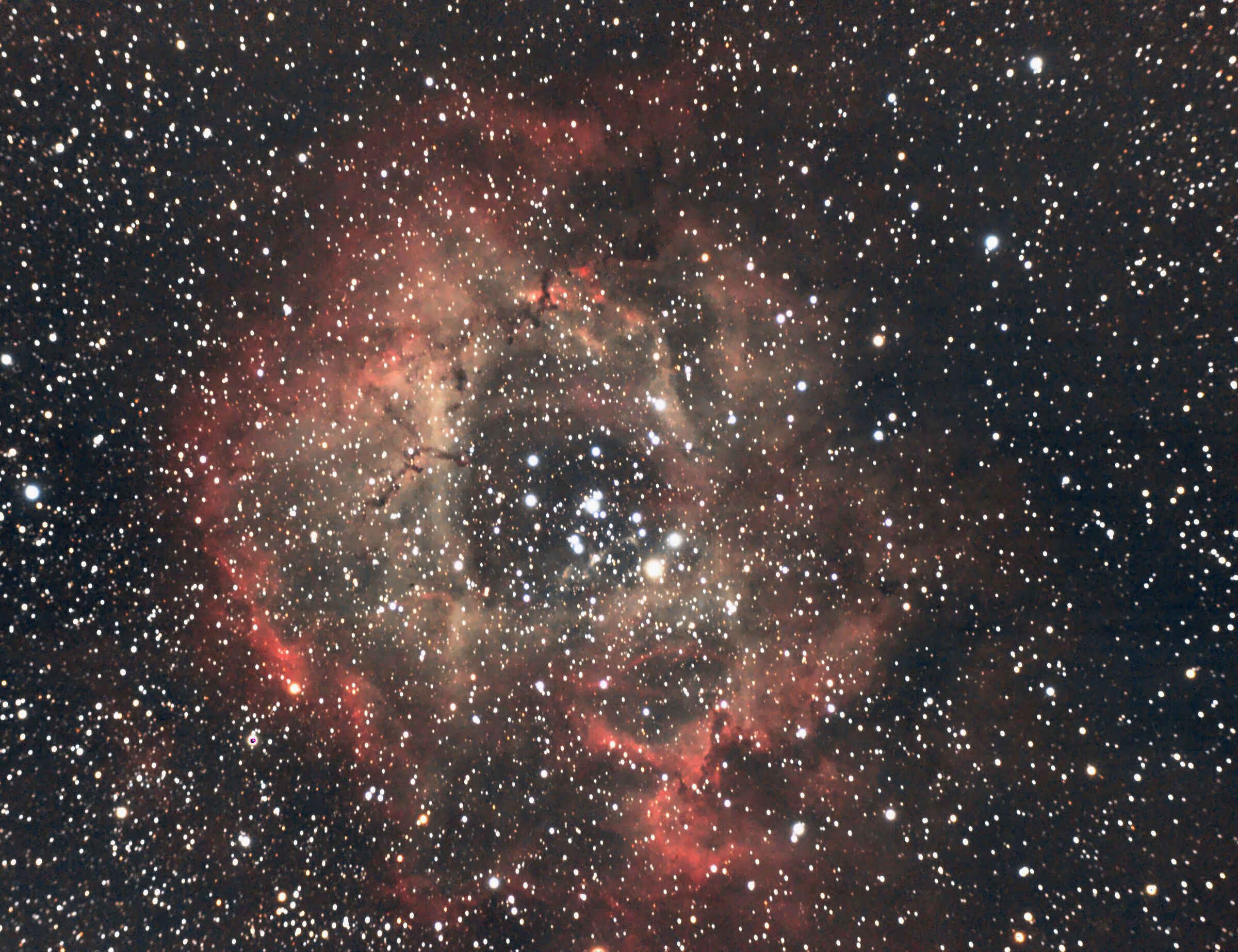 Nebulosa Rosetta (NGC2237)