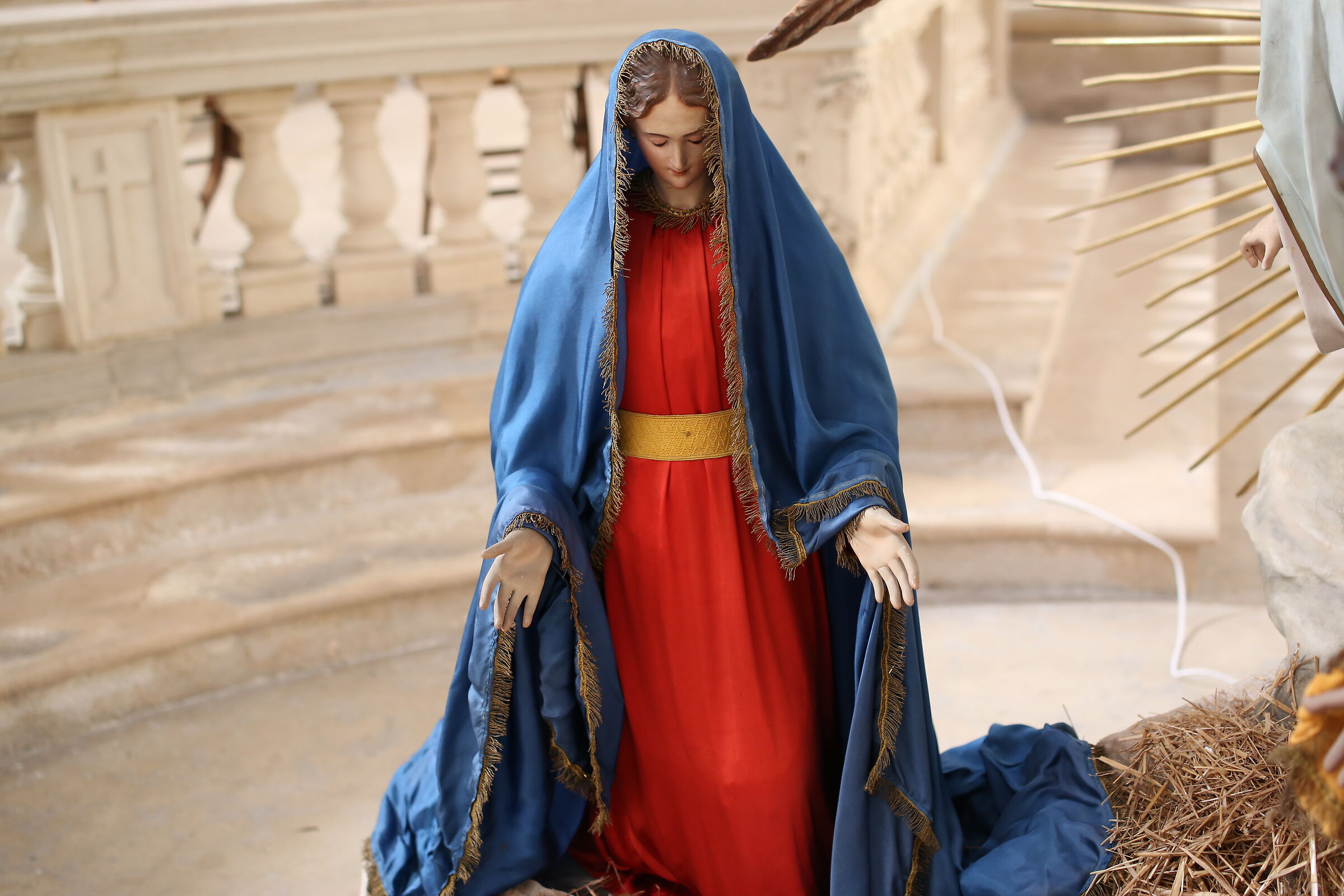 Ei, Milvus Zeiss 50, 1.4- Canon 6 D