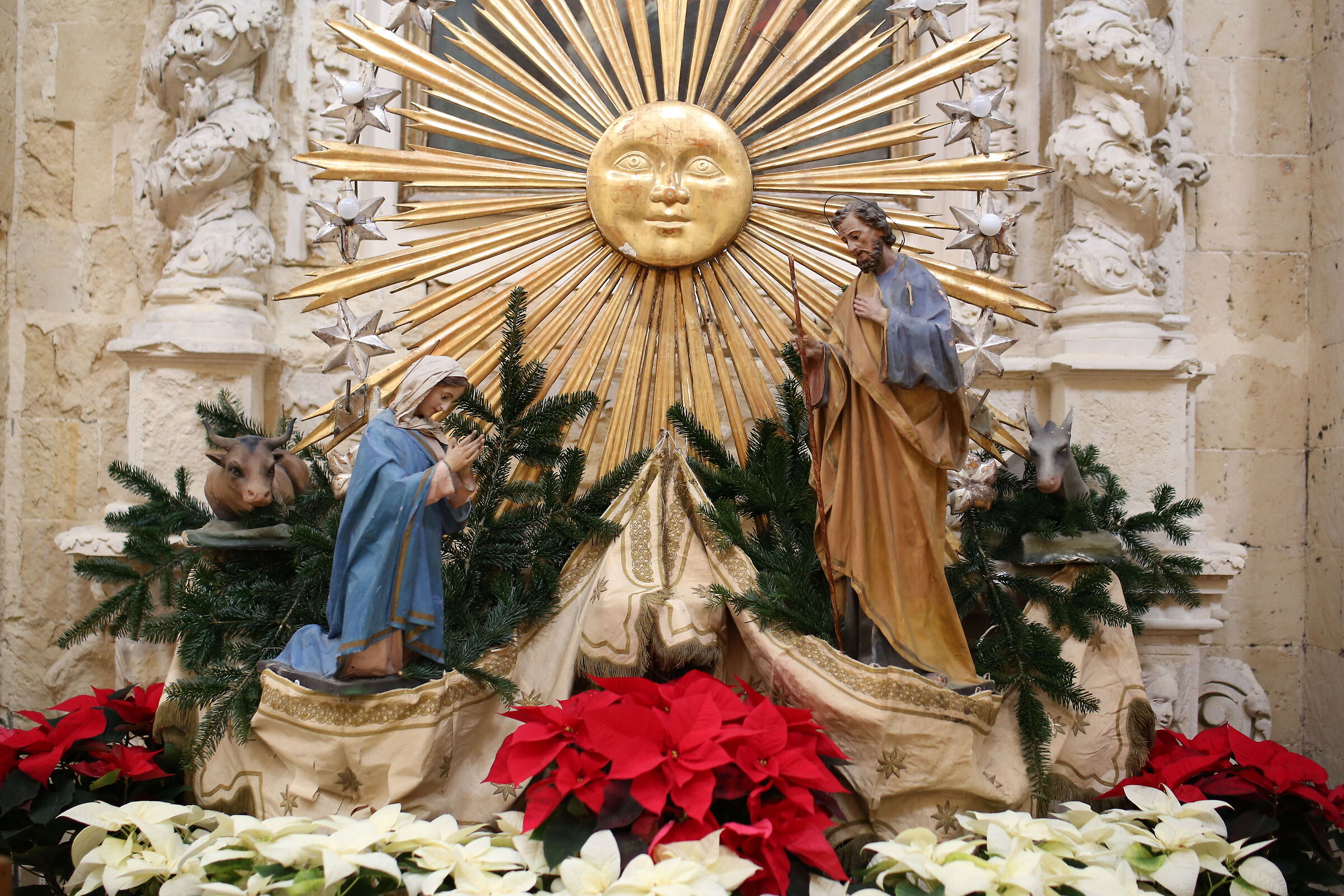 Milvus Zeiss 50, 1.4- Canon 6 D