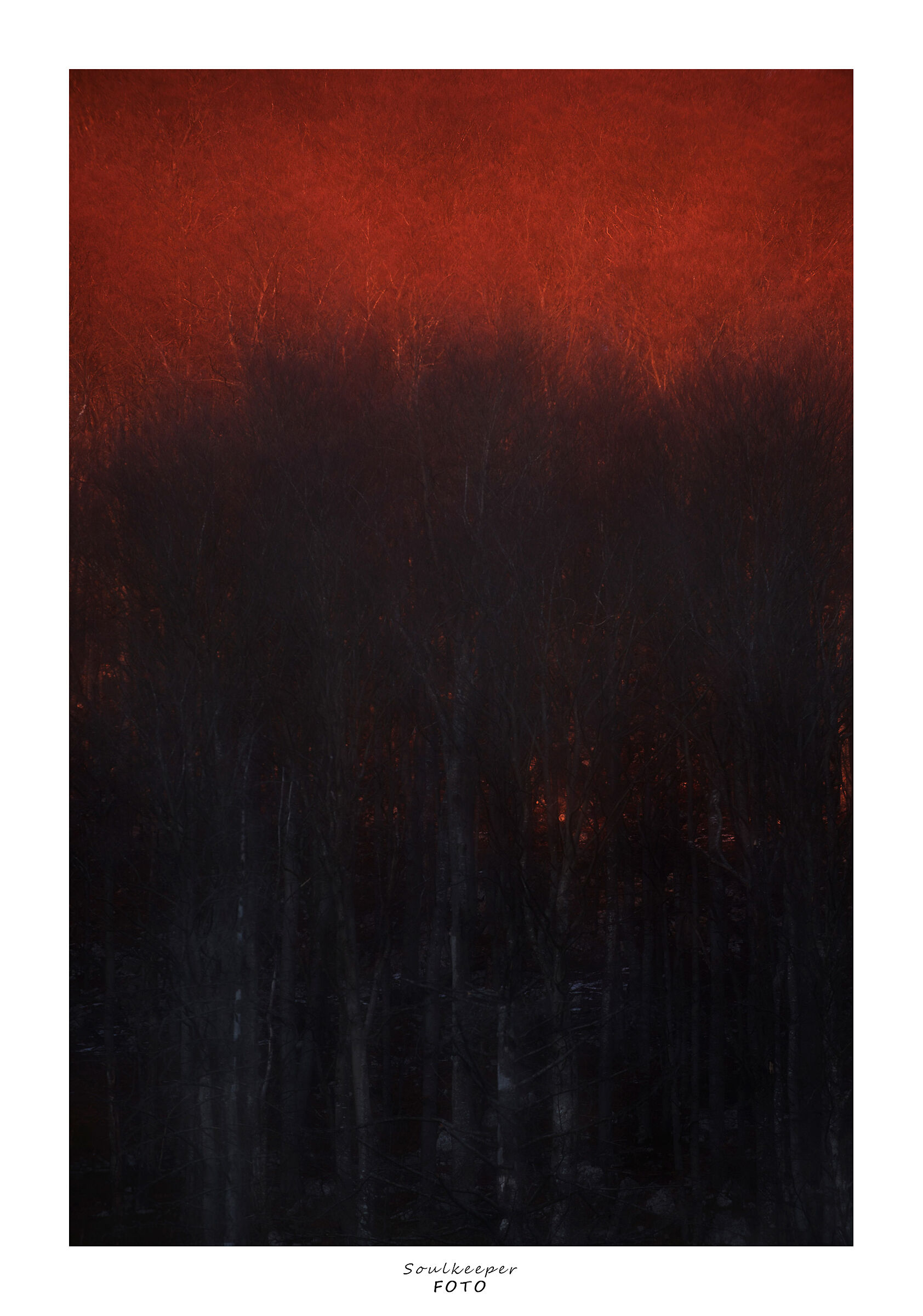 Signs of earth and fire...