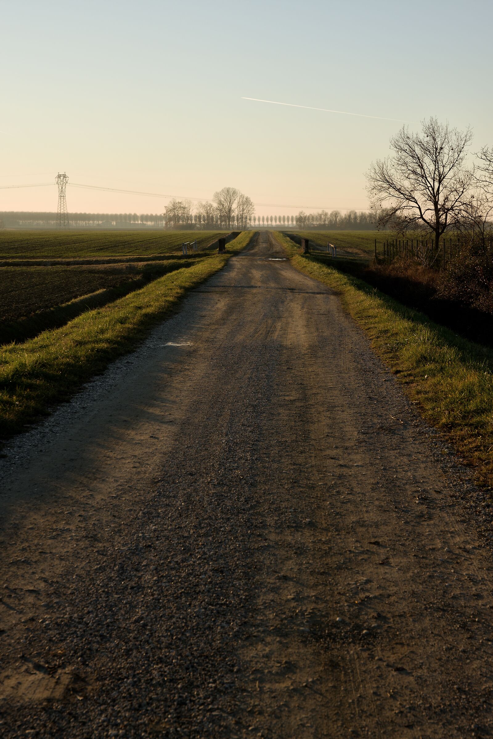 Strade Bianche
