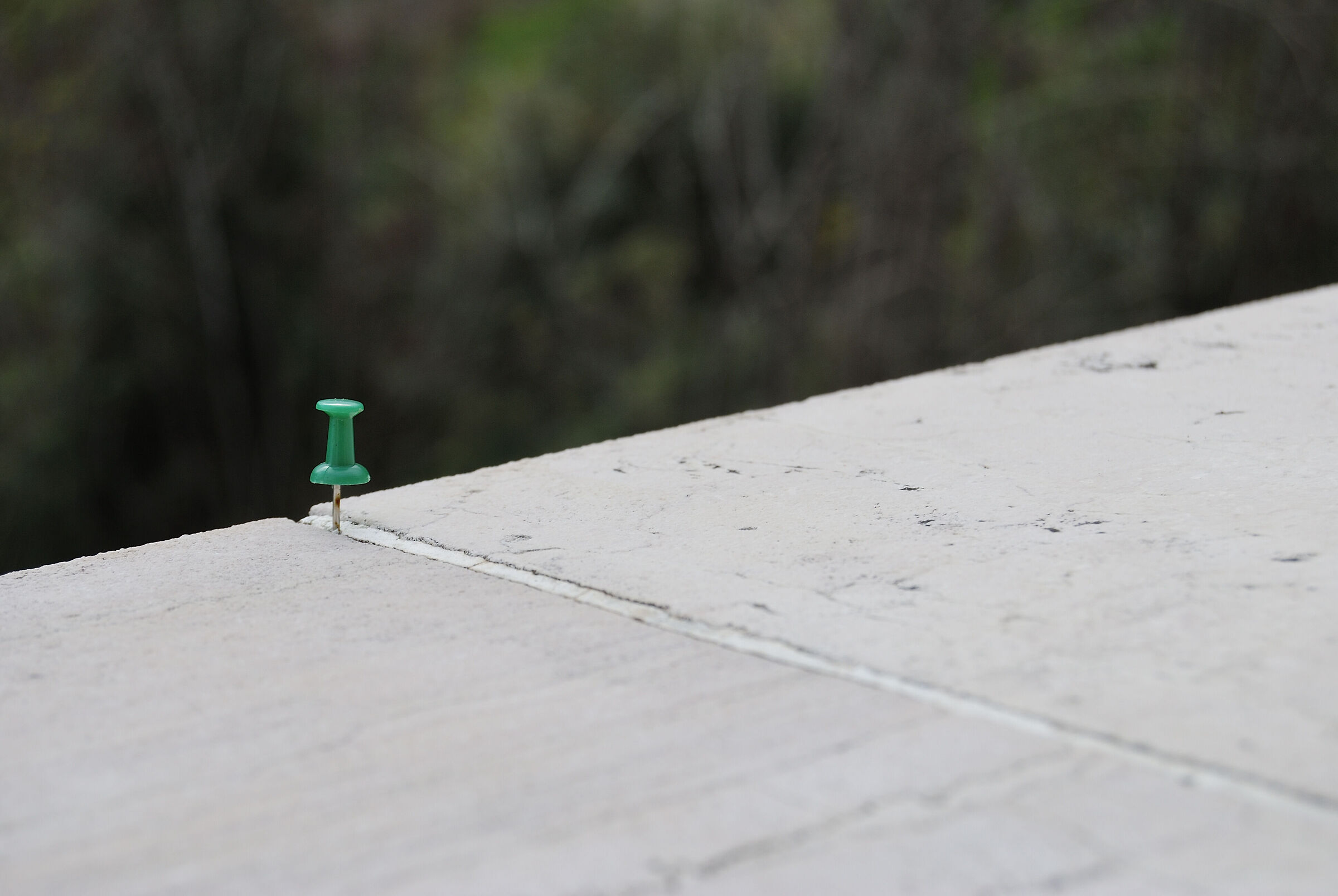 The Sword in the Stone