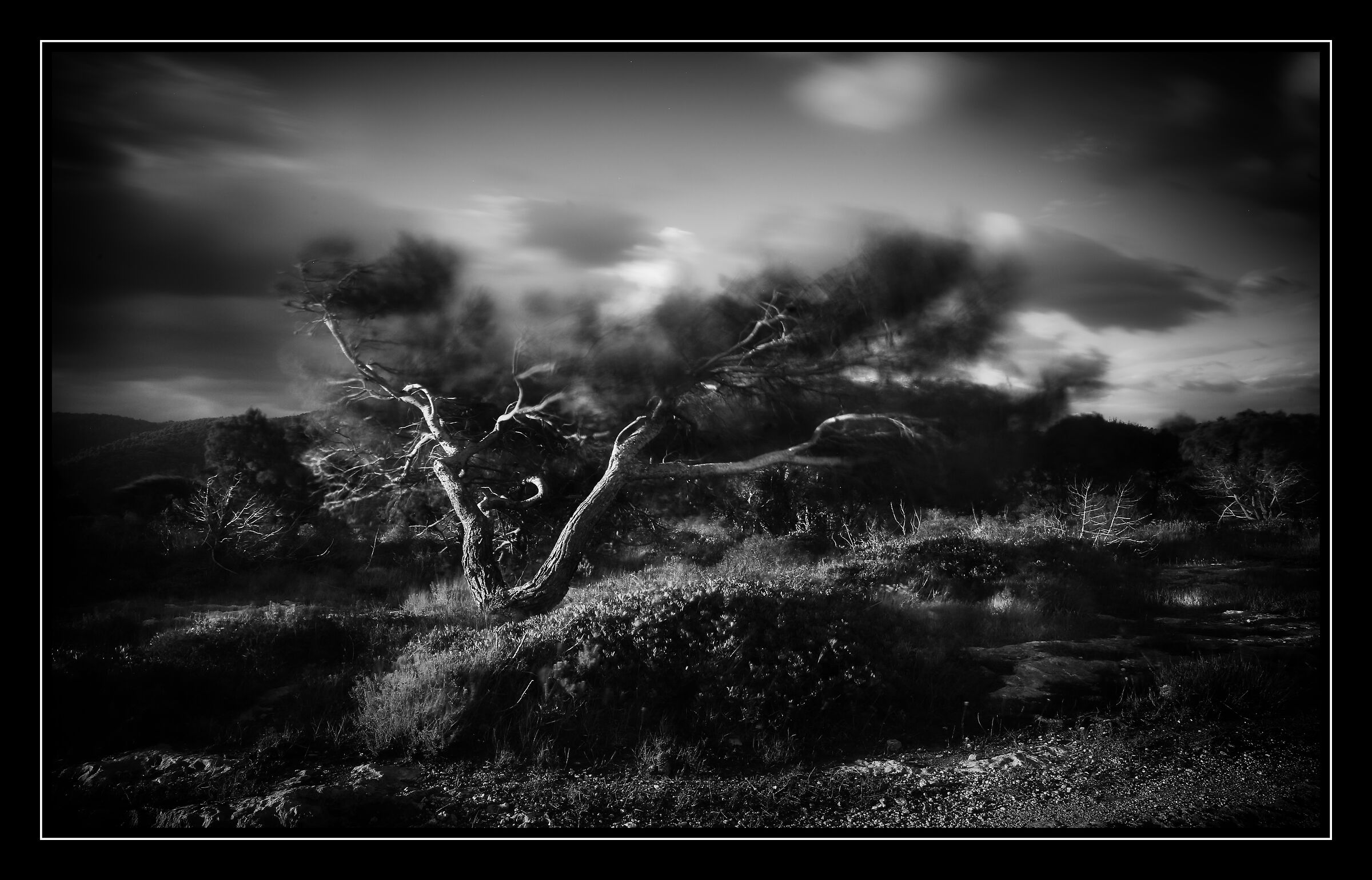 In the wind