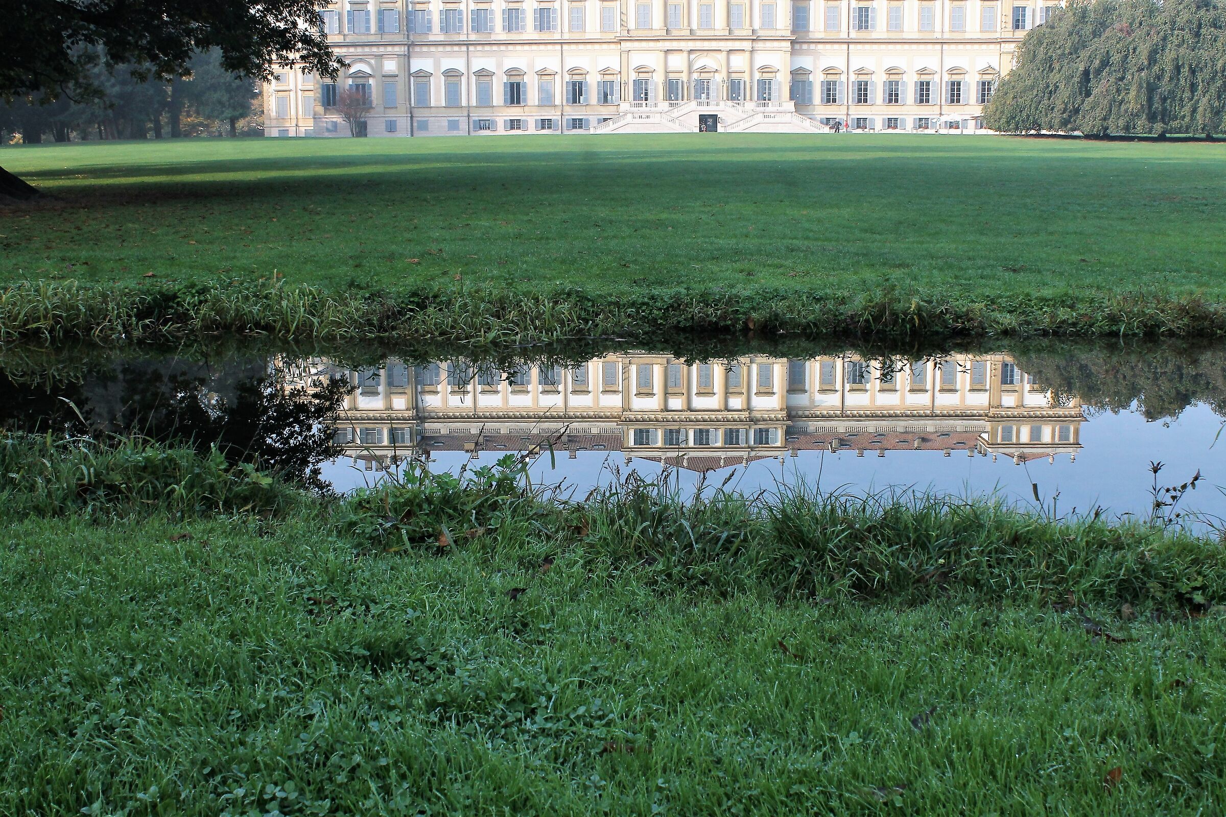 Reflections in the Waalweg path