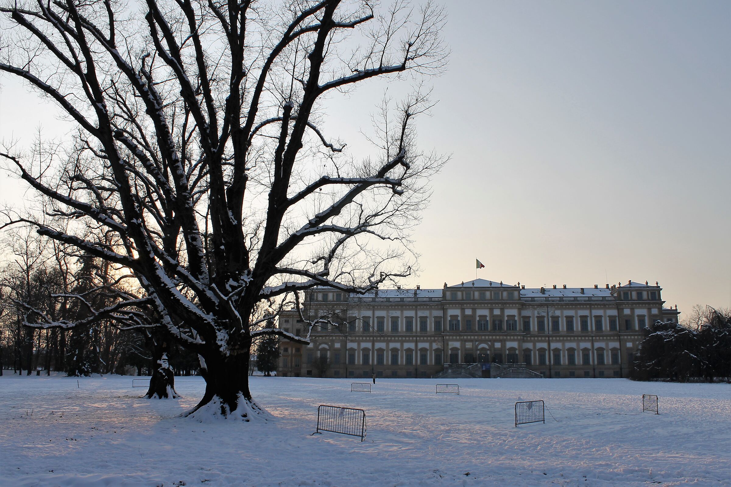 Against winter light