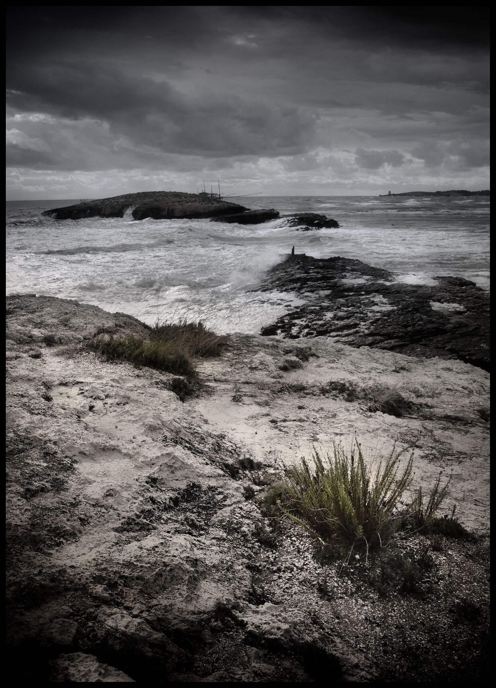 Mare mosso