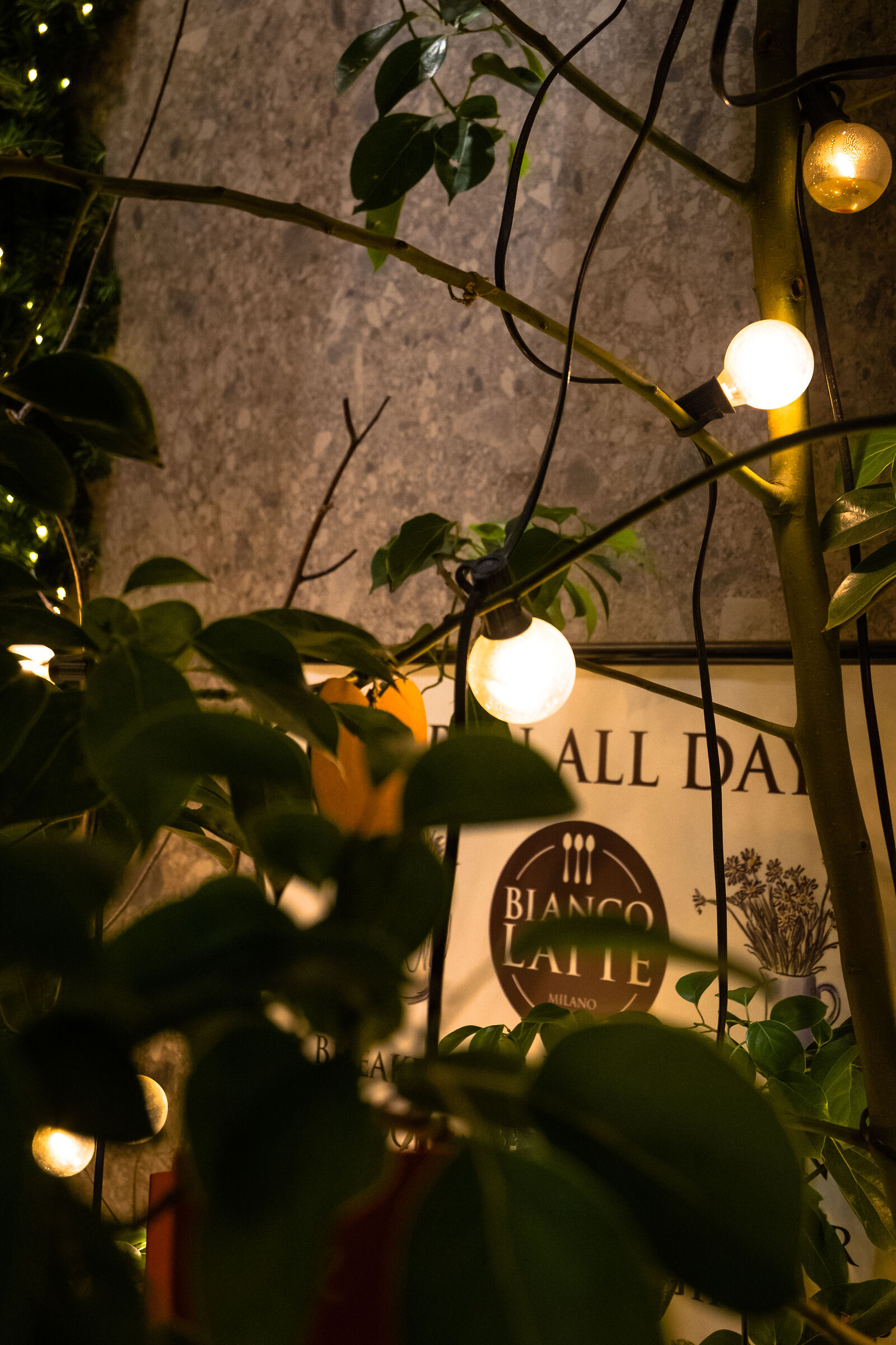 Lights in the leaves - a corner of intimate atmosphere