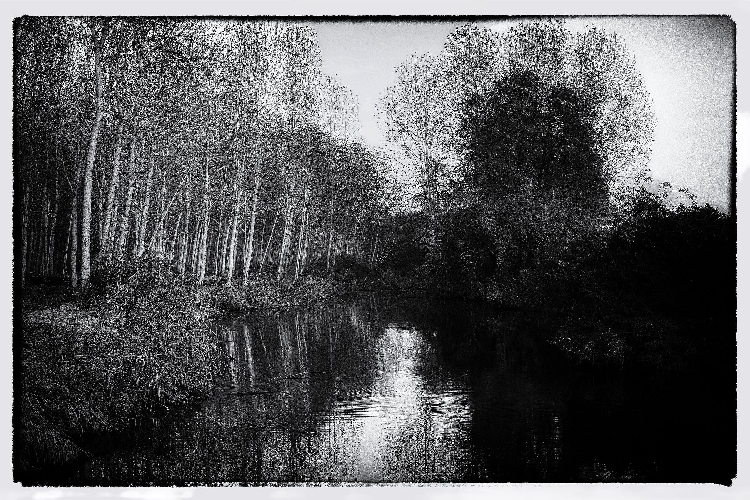 Along the Sesia