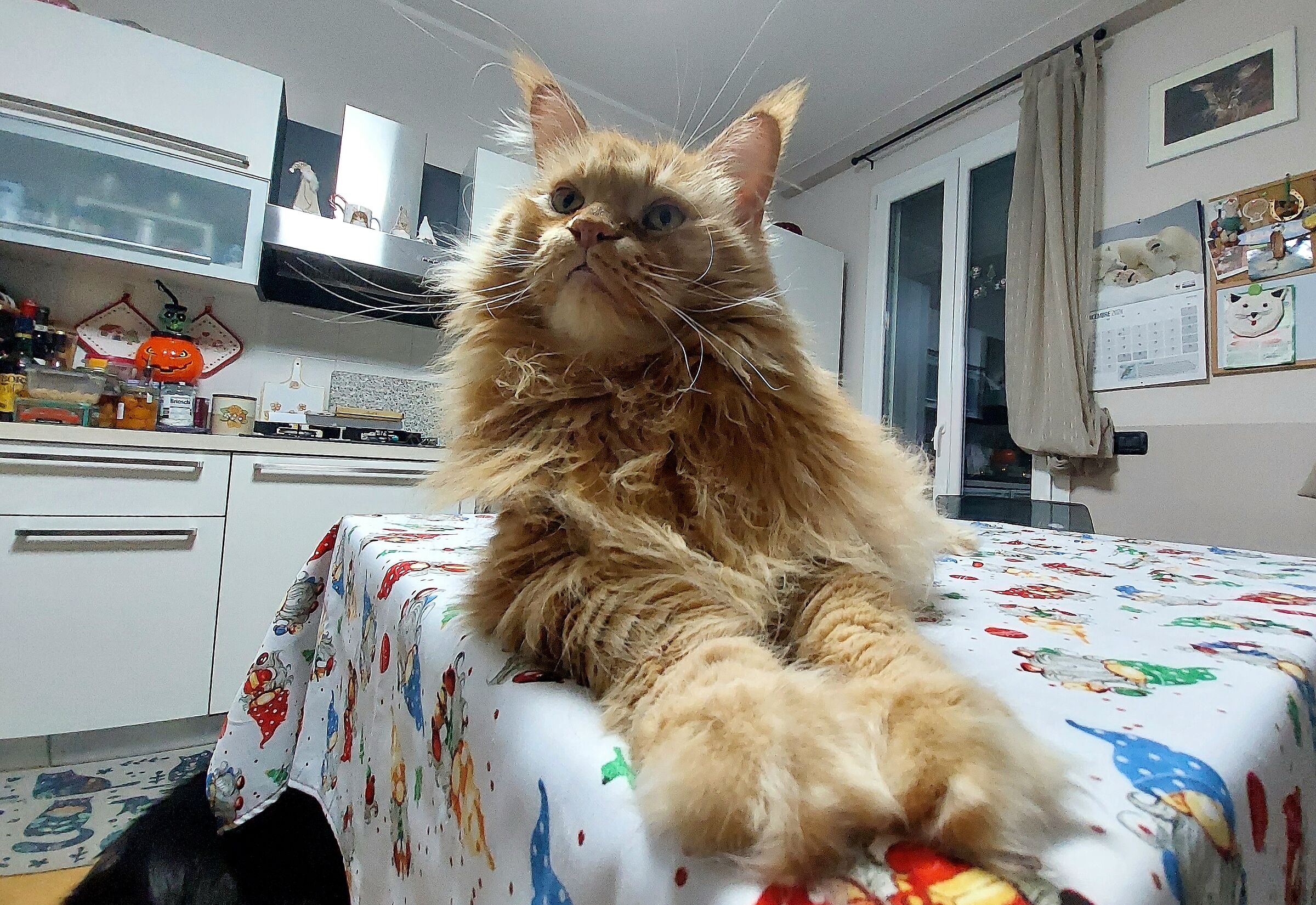 When do you say..... You don't have to get on the table...